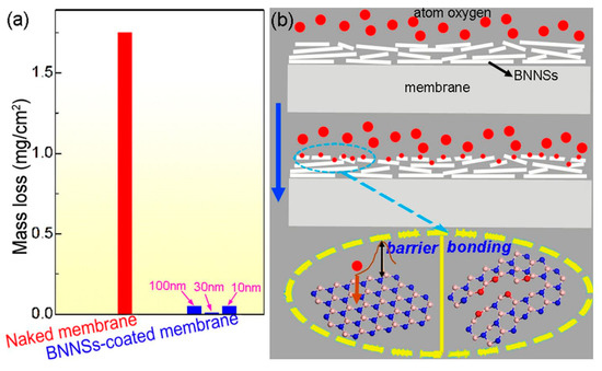 Ångström-Scale, Atomically Thin 2D Materials for Corrosion
