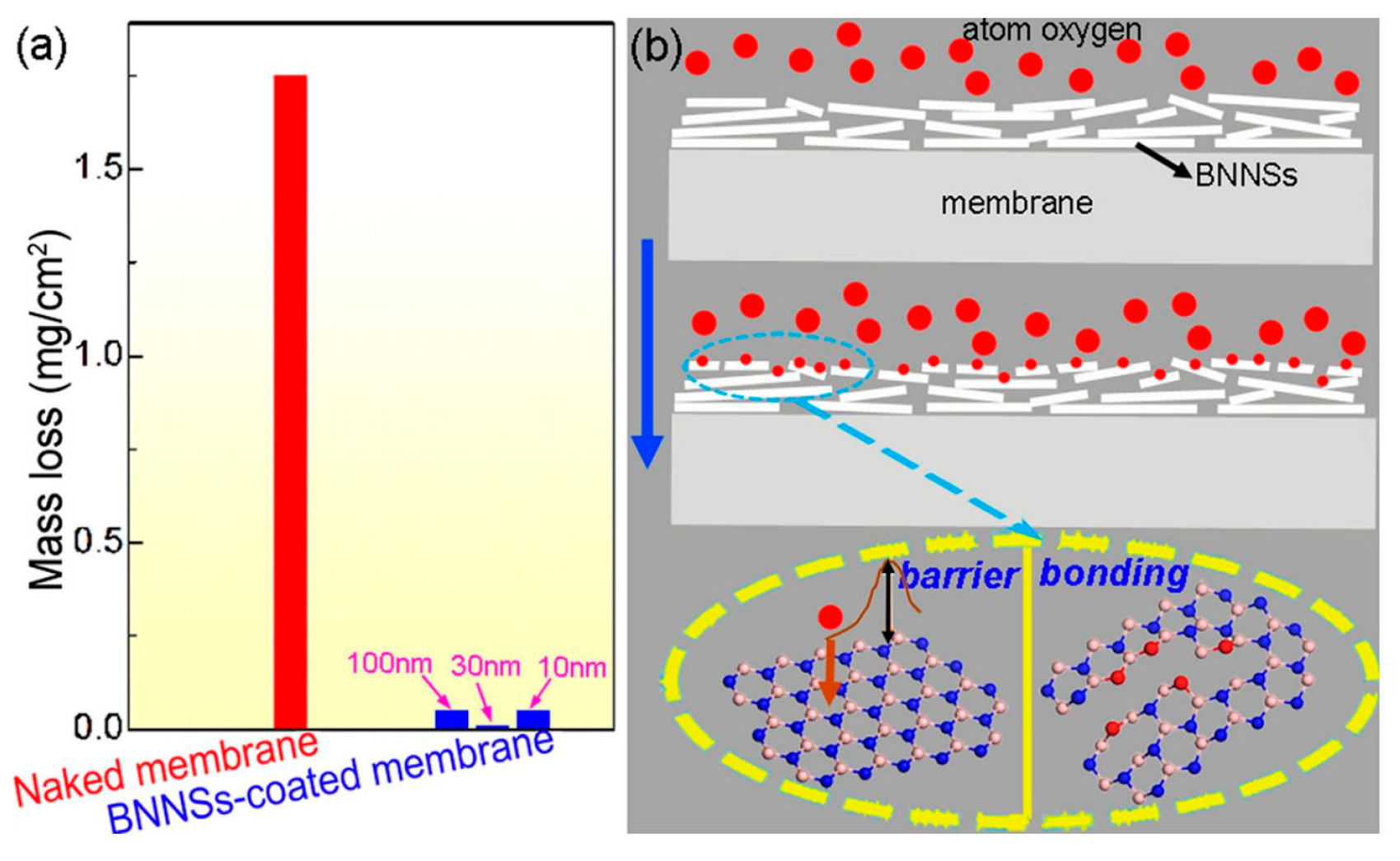Coatings 09 00133 g003 550