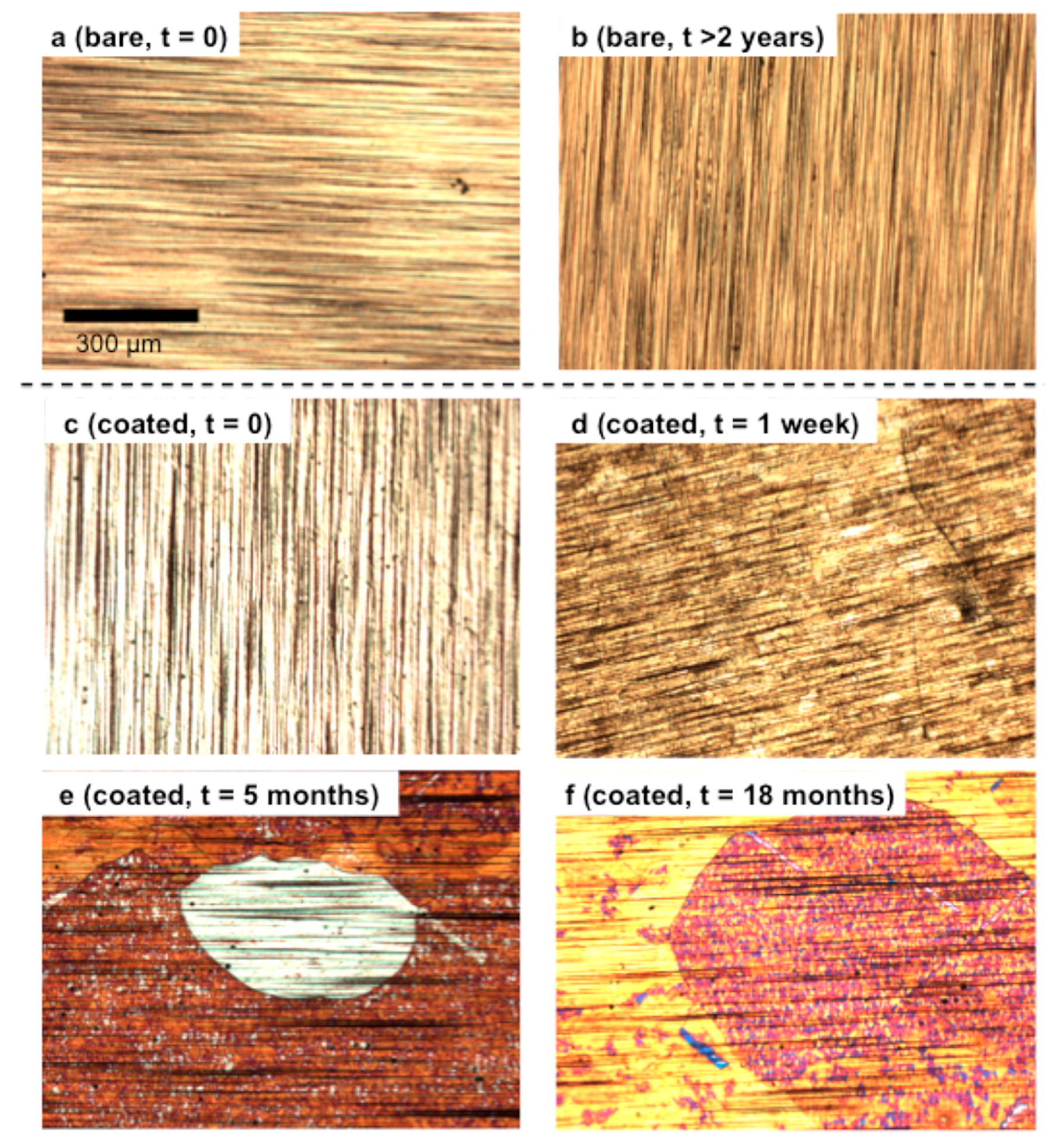 Coatings 09 00133 g013 550