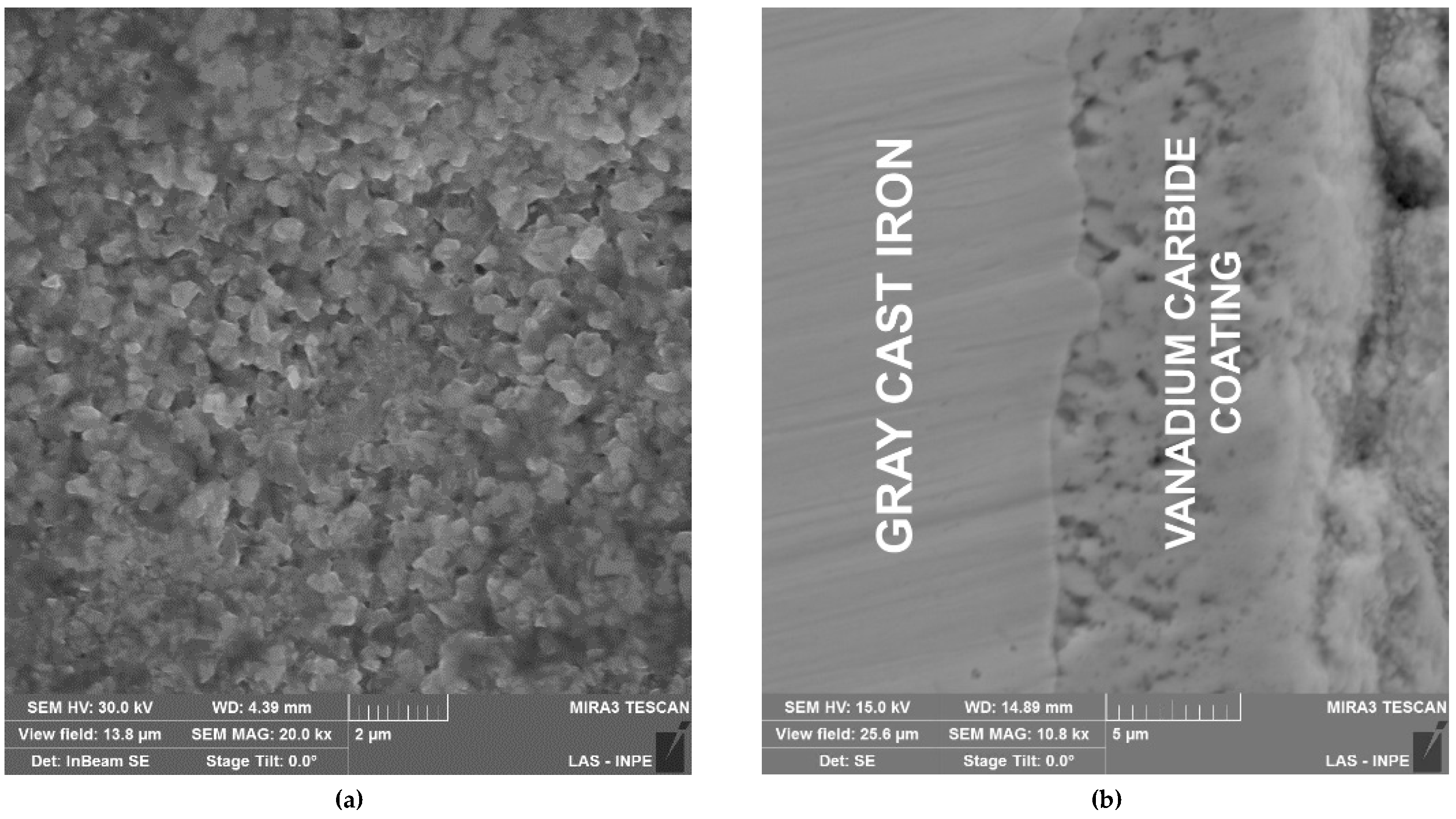 Coatings 09 00135 g001