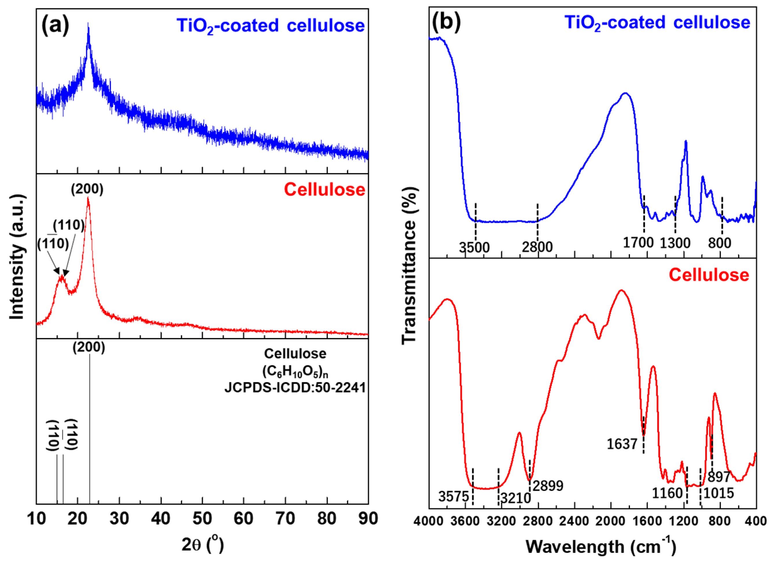 Coatings 09 00139 g001