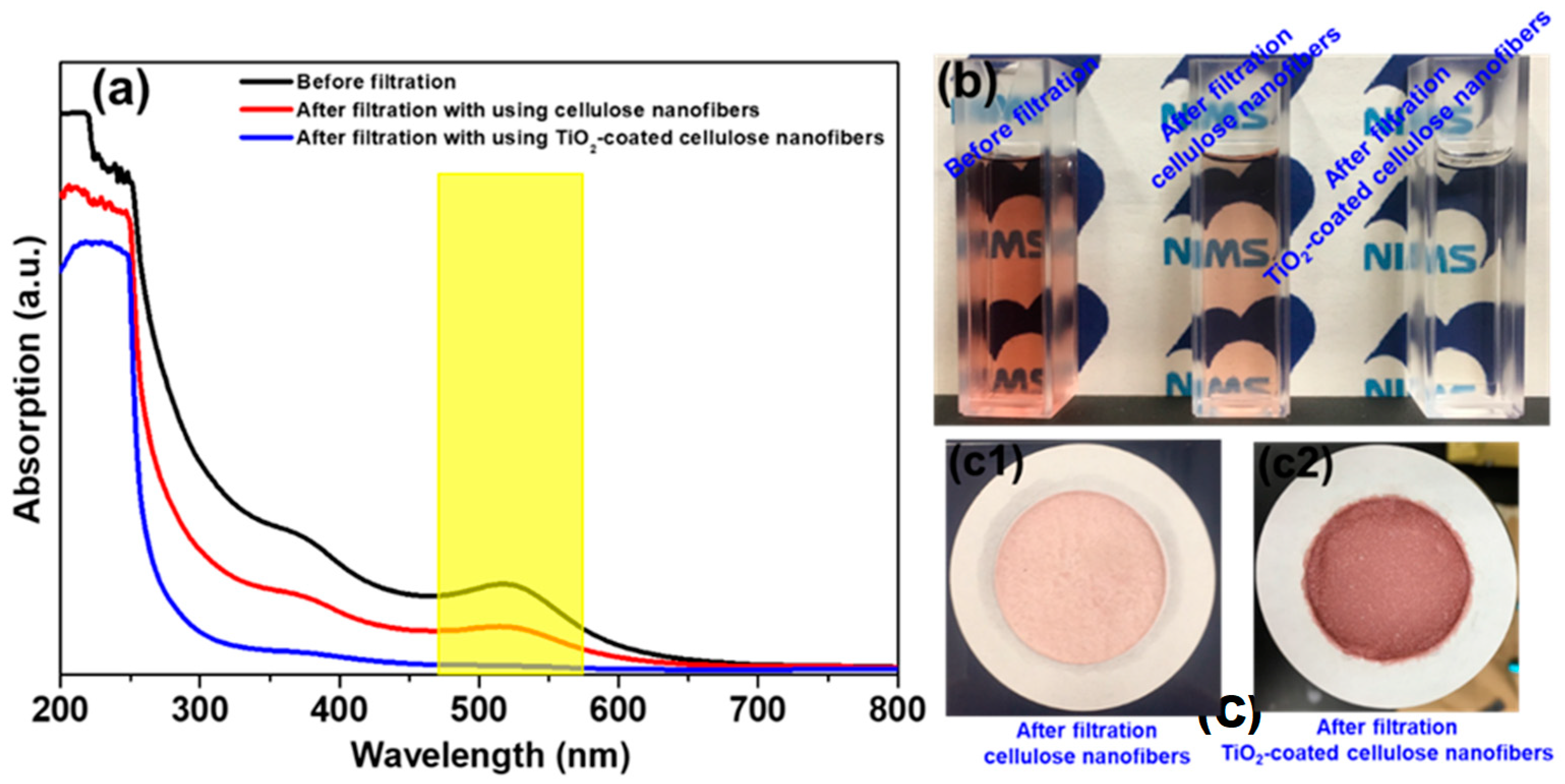Coatings 09 00139 g003