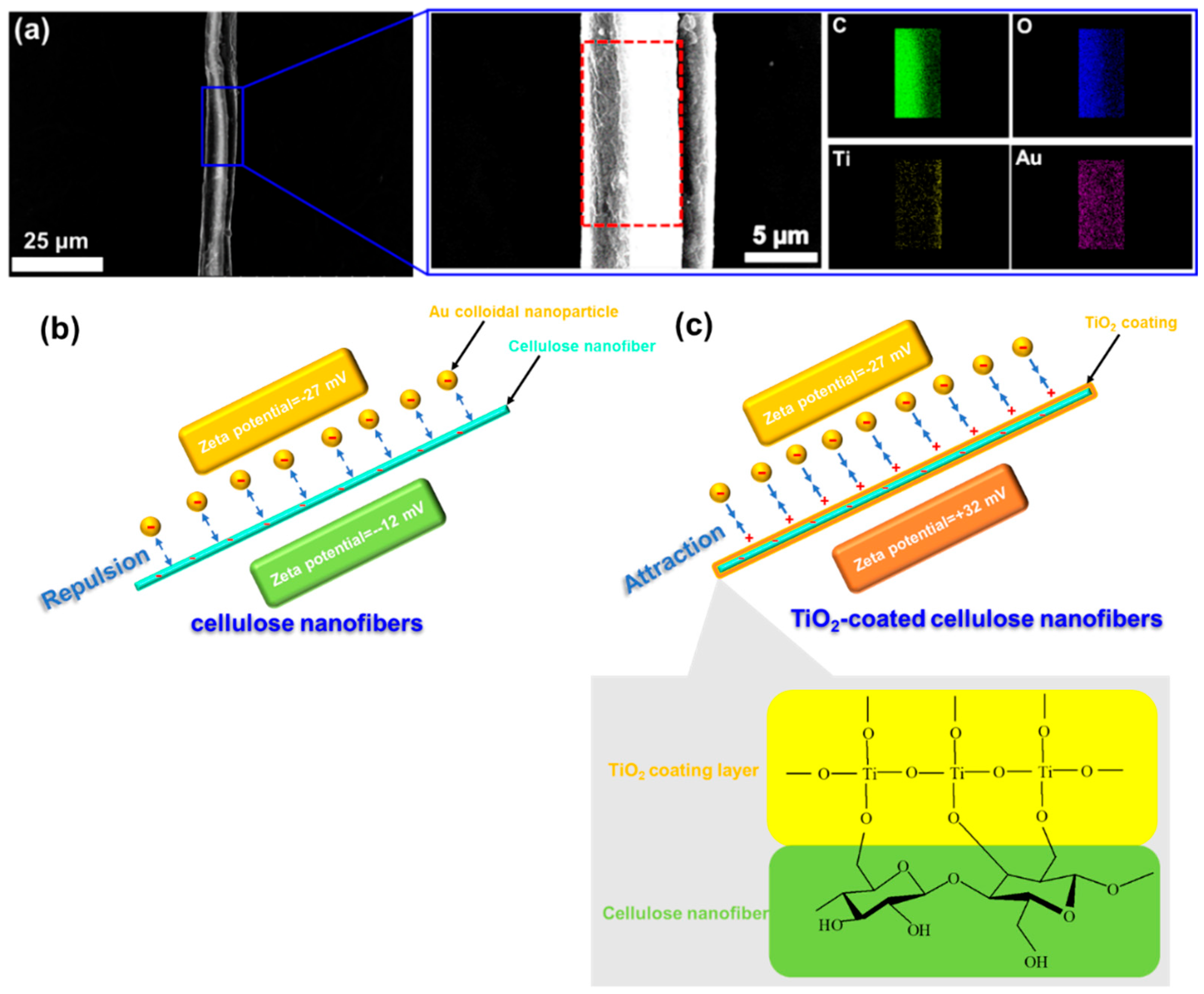 Coatings 09 00139 g004