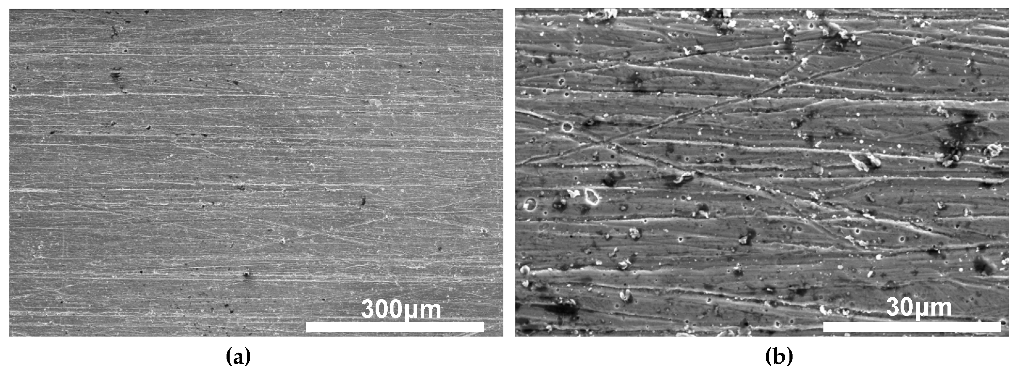 Coatings 09 00140 g005 Coatings 09 00140 g005
