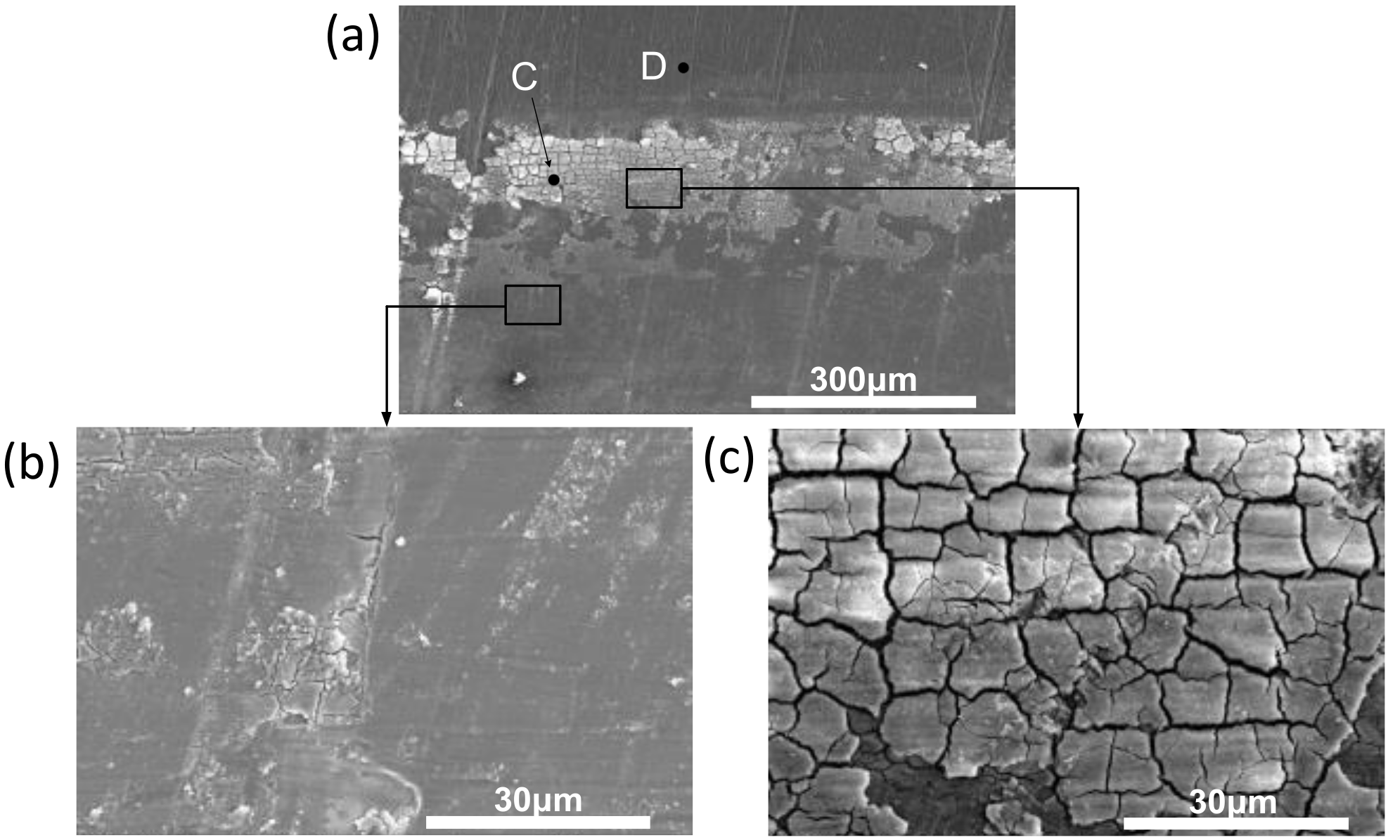 Coatings 09 00140 g017 Coatings 09 00140 g017