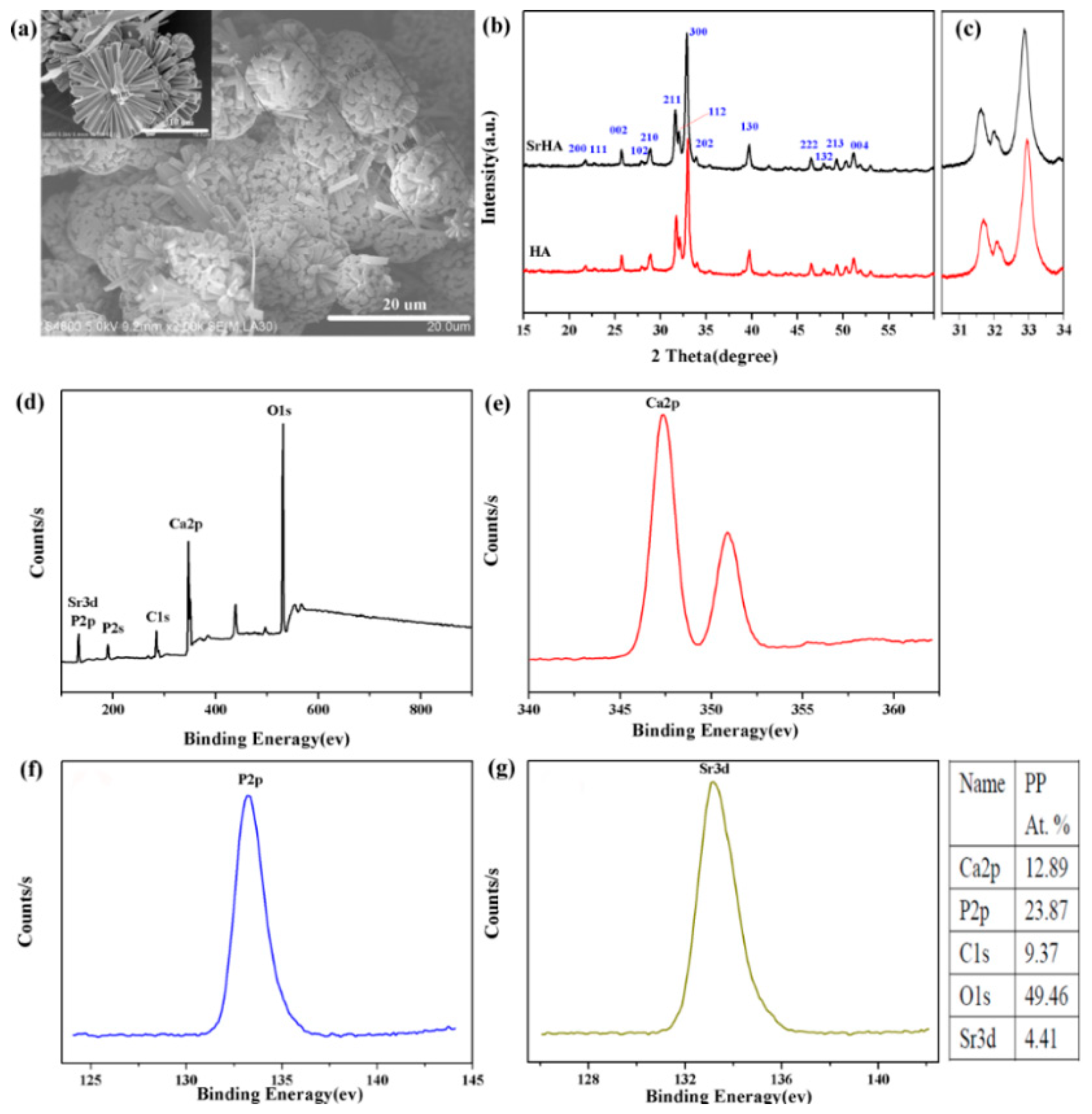 Coatings 09 00141 g001