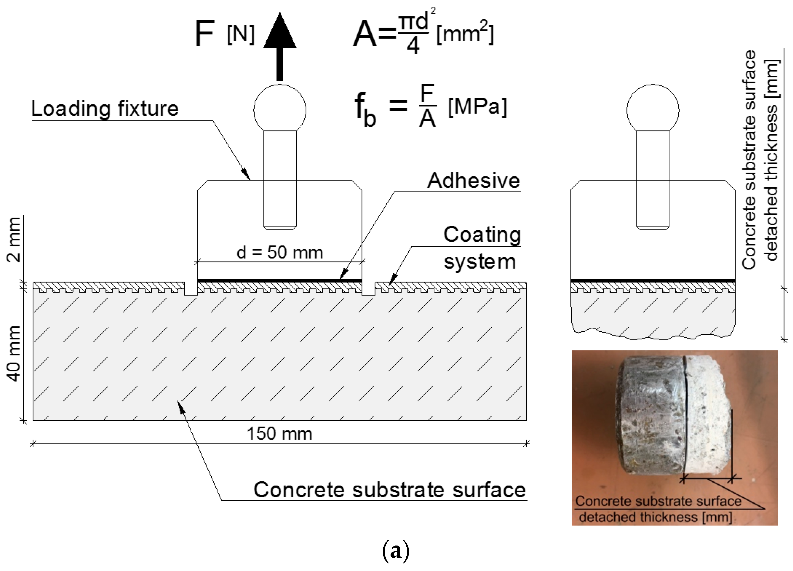 Coatings 09 00143 g008a 550