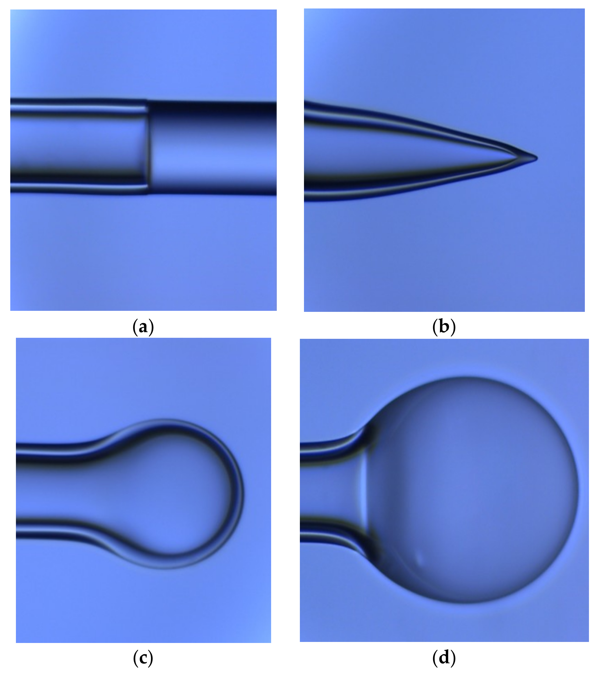 Coatings 09 00144 g002