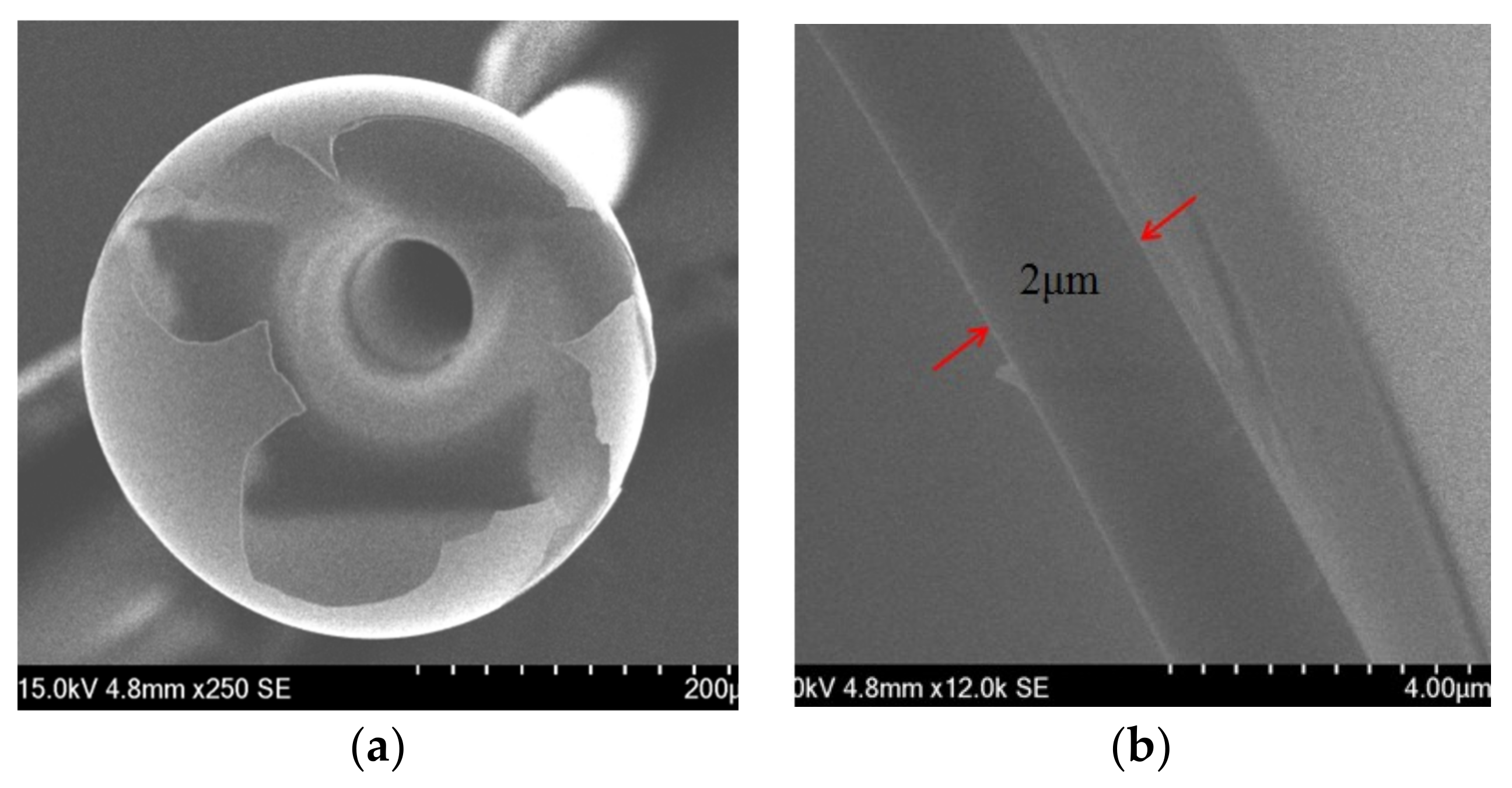 Coatings 09 00144 g004