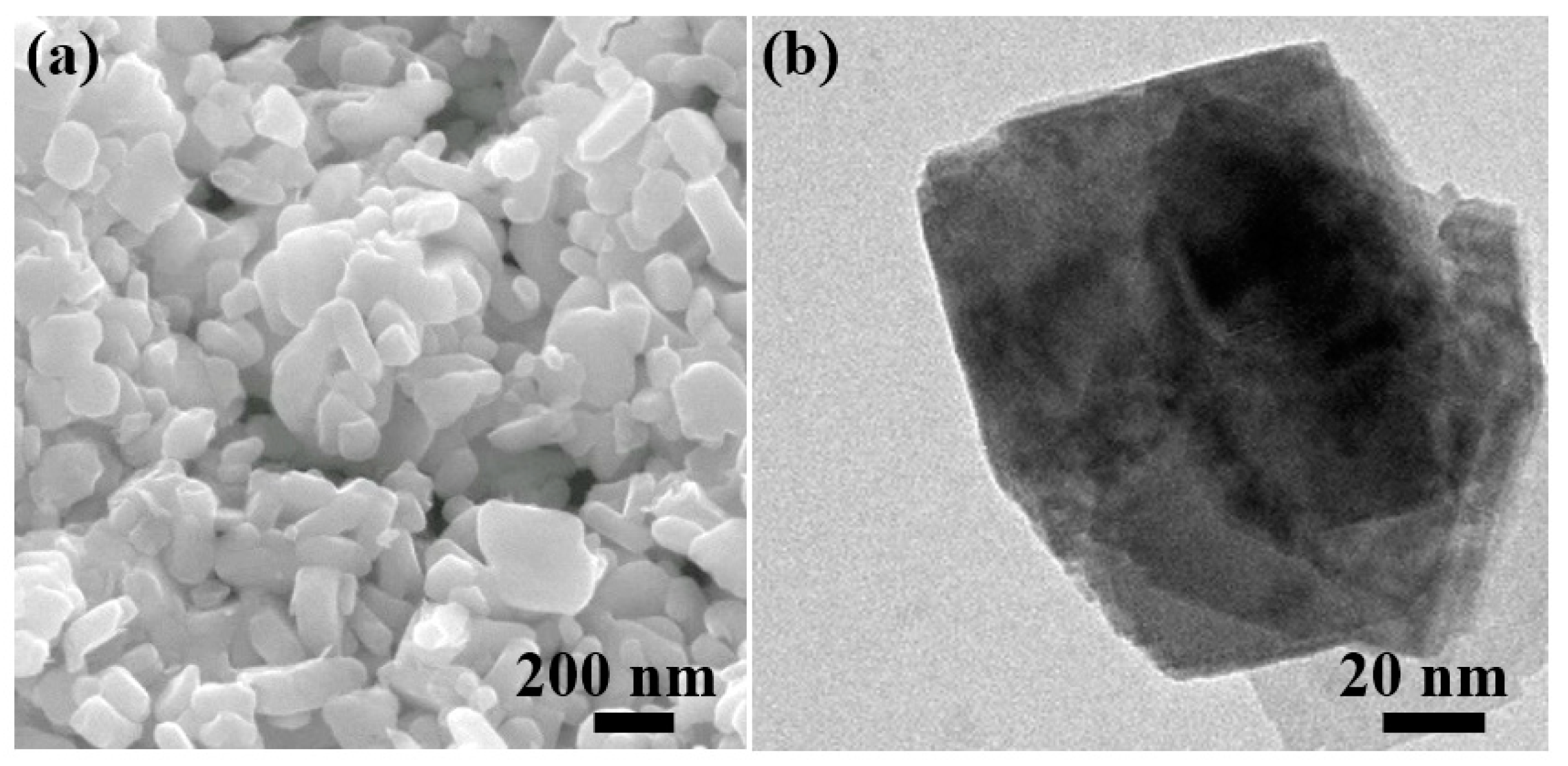 Coatings 09 00148 g002 550