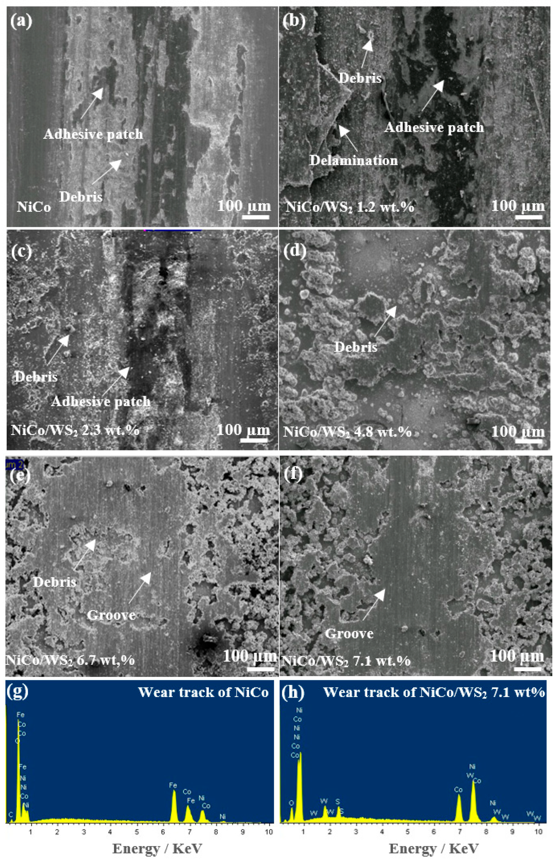 Coatings 09 00148 g007 550