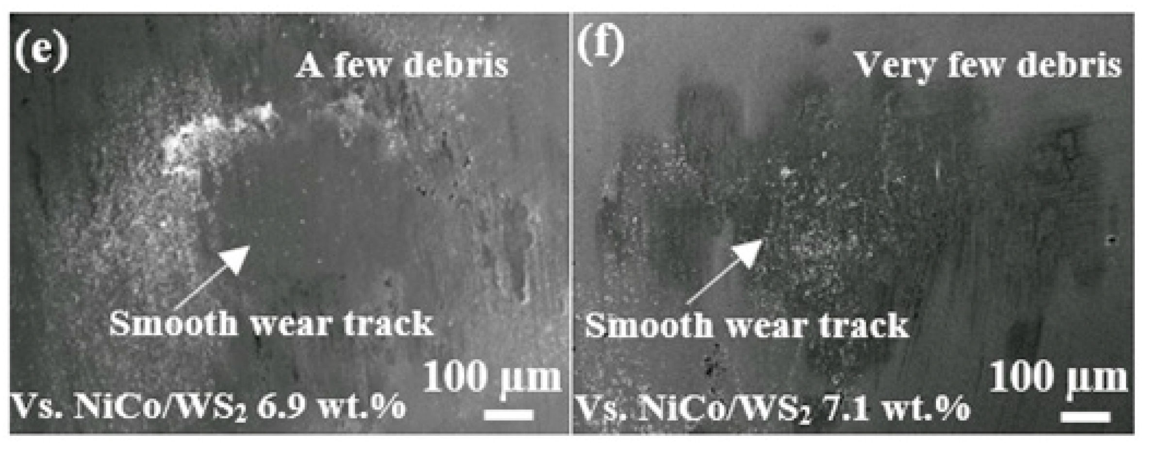 Coatings 09 00148 g009b 550