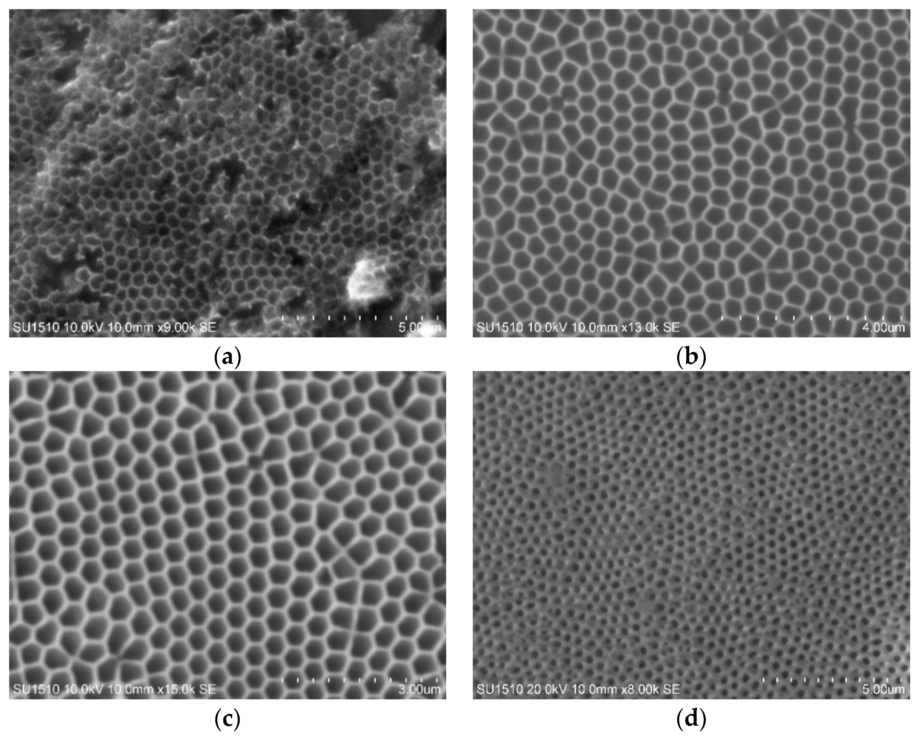 Coatings 09 00149 g001