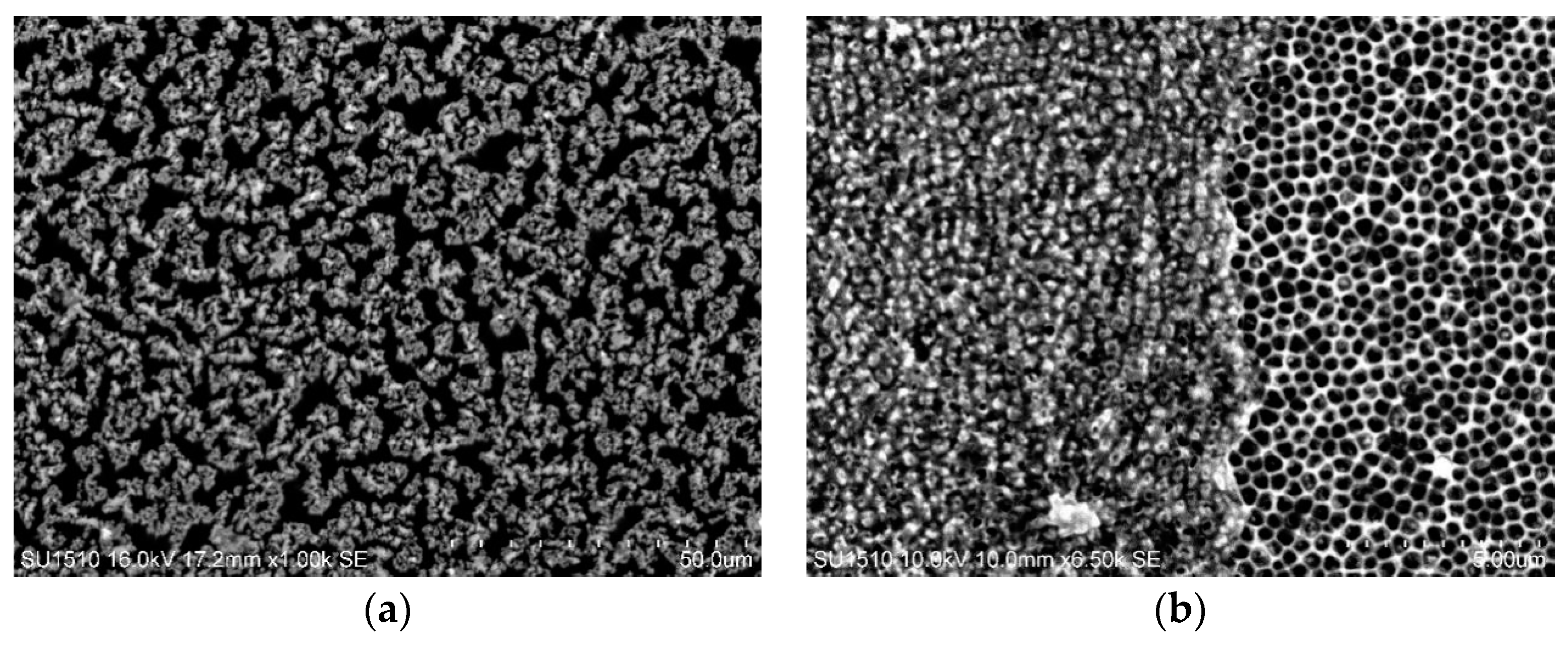 Coatings 09 00149 g002