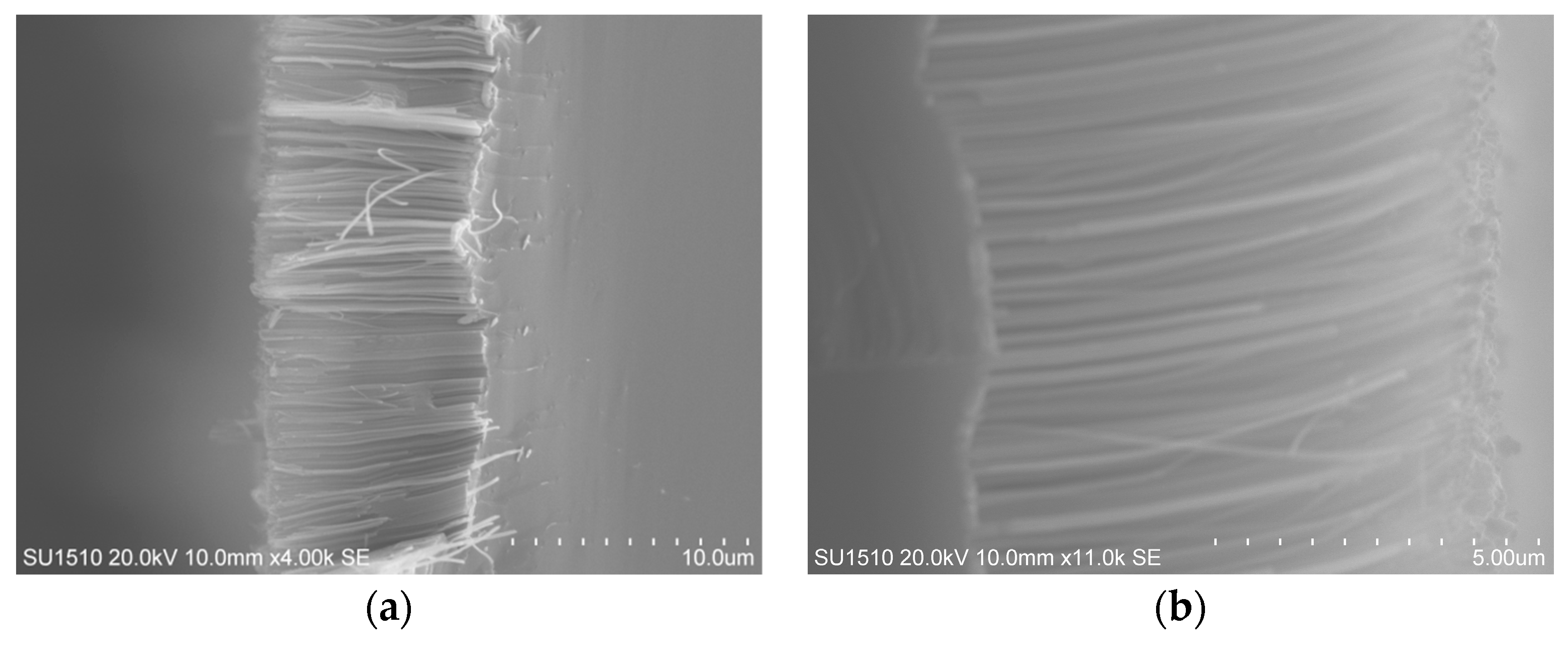 Coatings 09 00149 g003