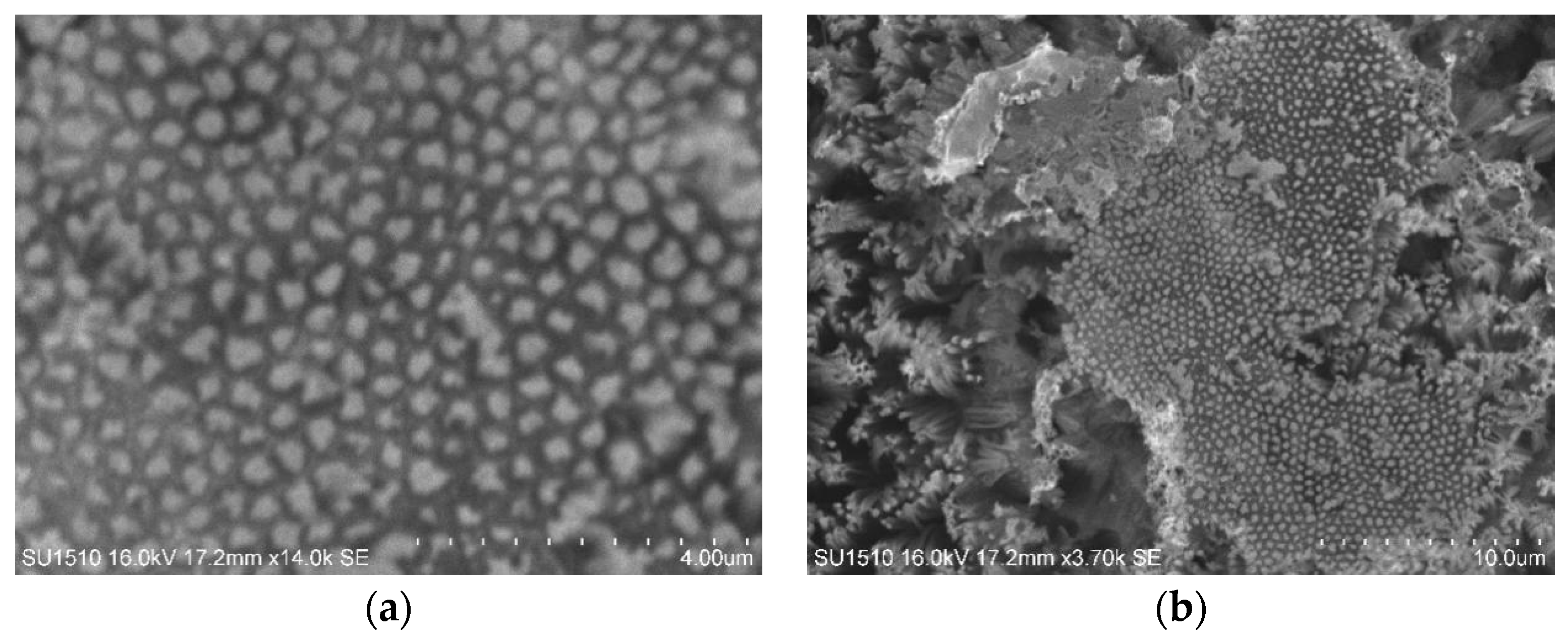 Coatings 09 00149 g004