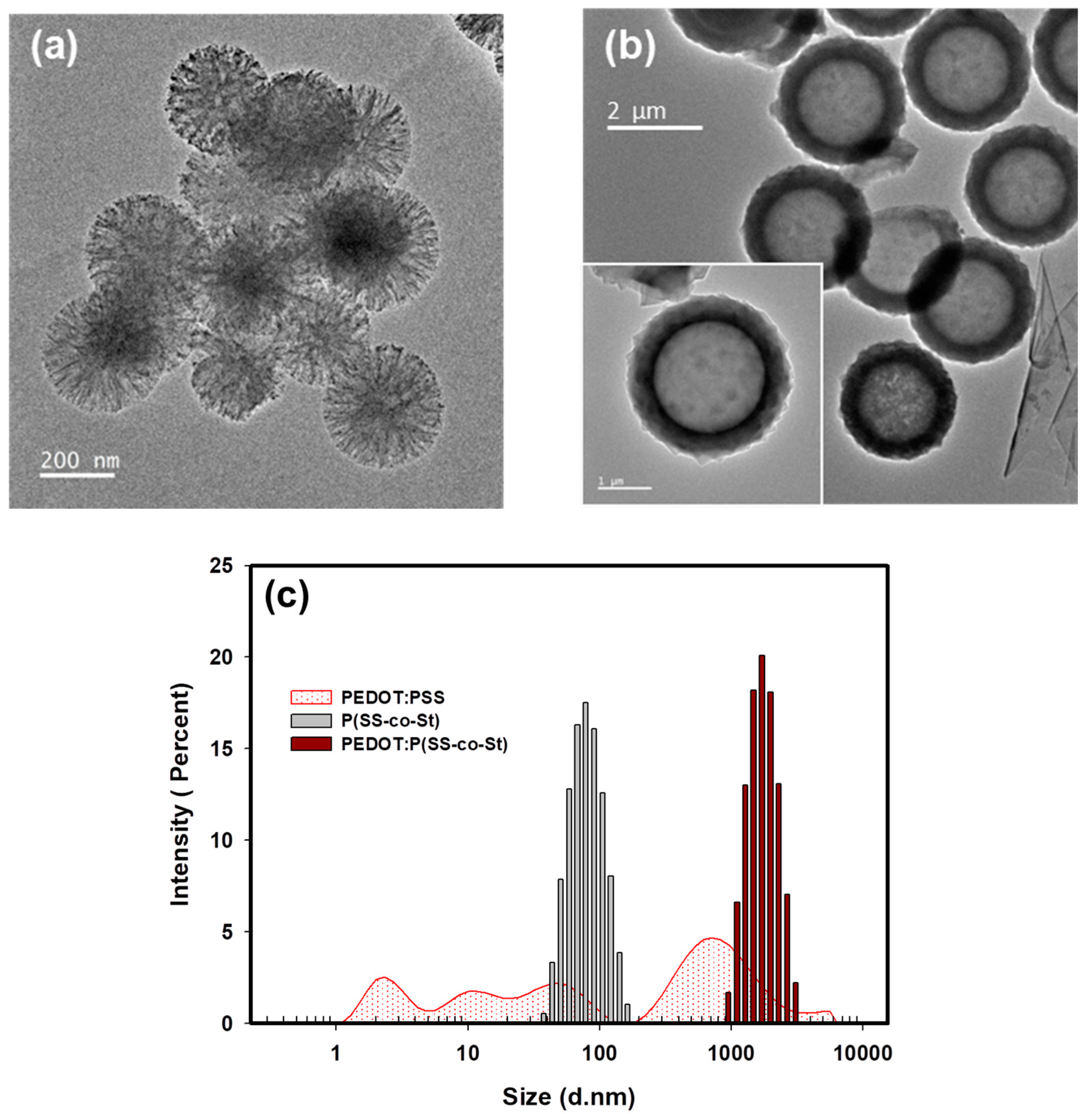 Coatings 09 00151 g003