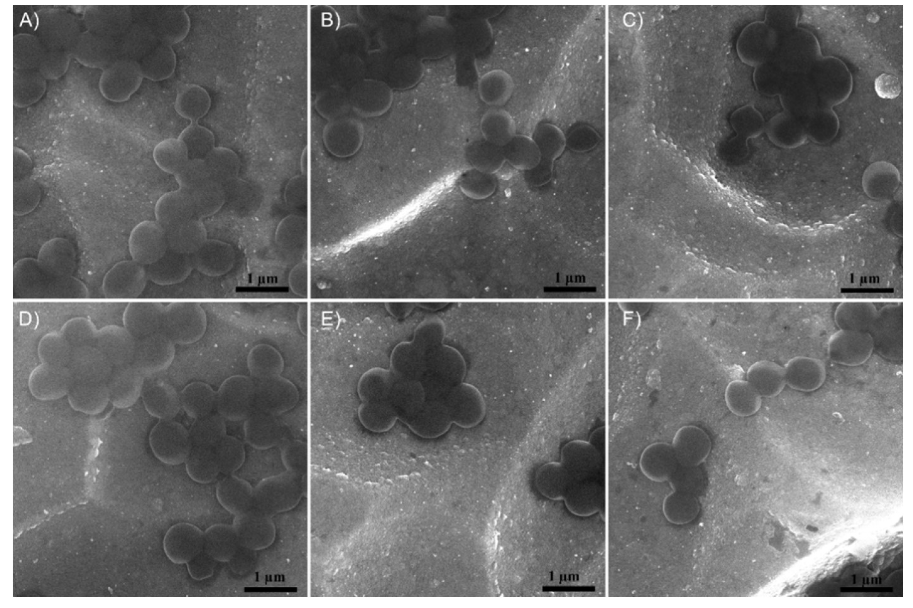 Coatings 09 00156 g011