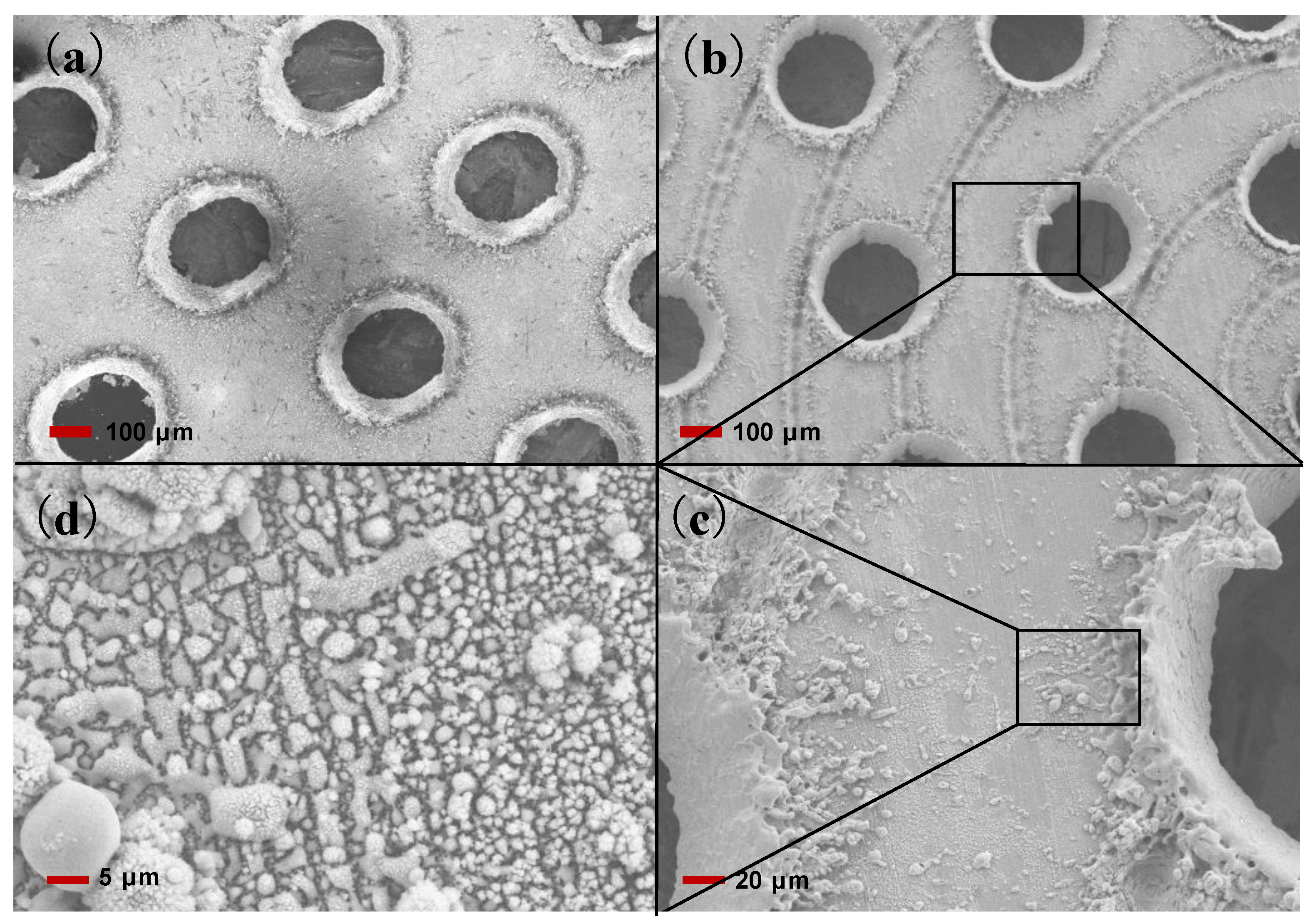 Coatings 09 00157 g002 Coatings 09 00157 g002