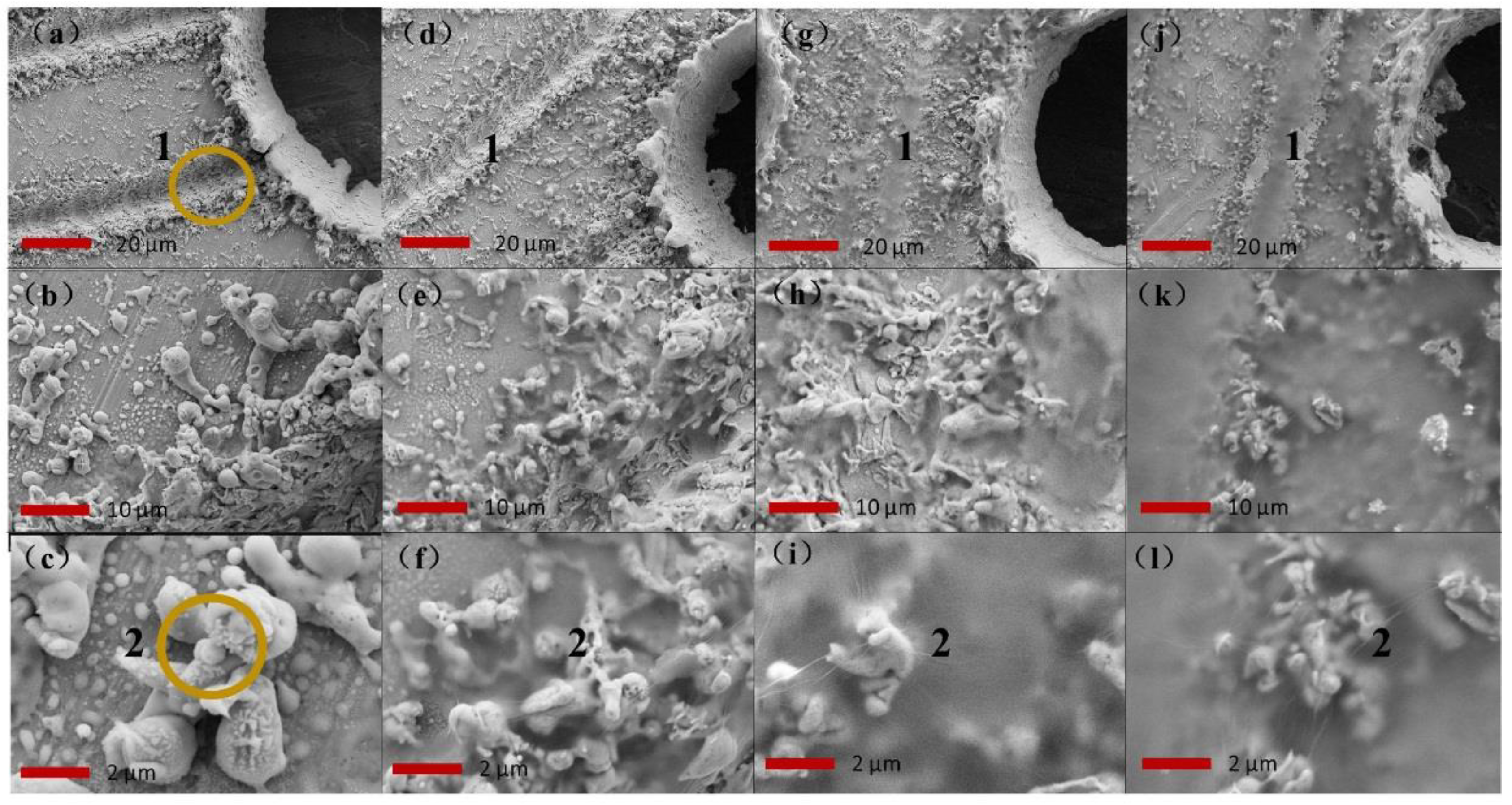 Coatings 09 00157 g004 Coatings 09 00157 g004