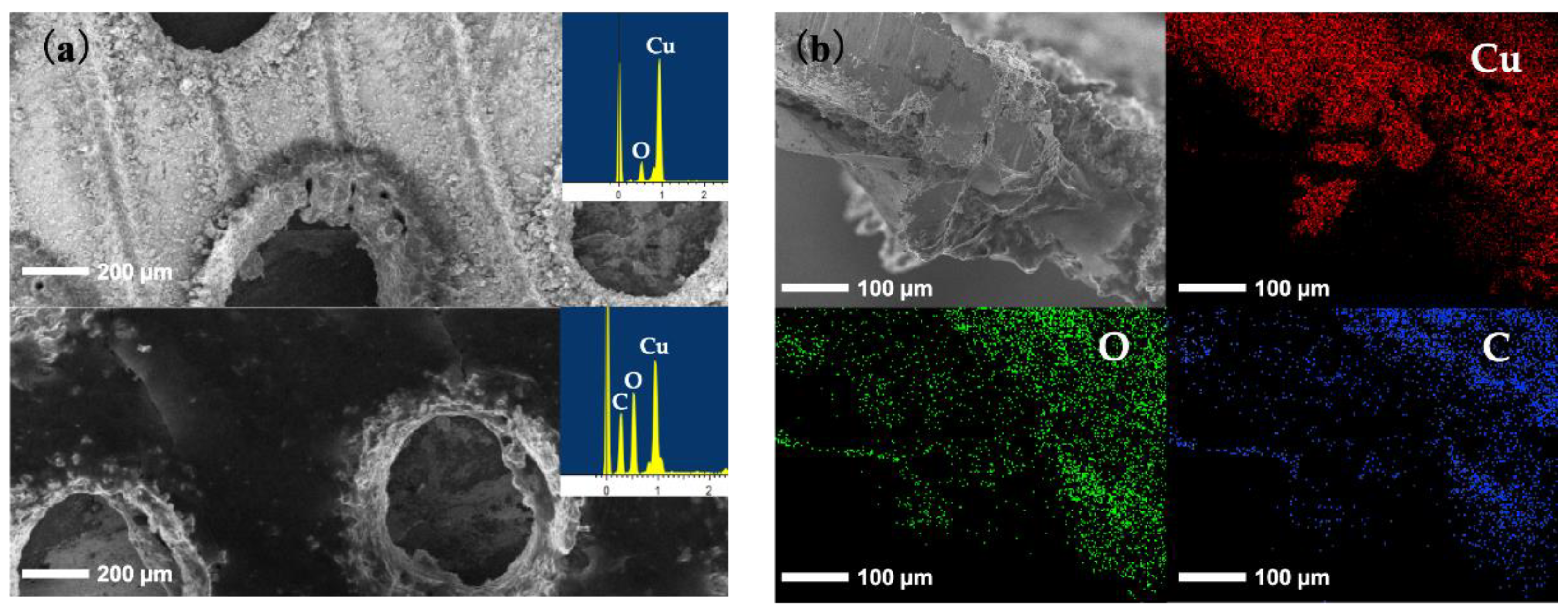 Coatings 09 00157 g005 Coatings 09 00157 g005