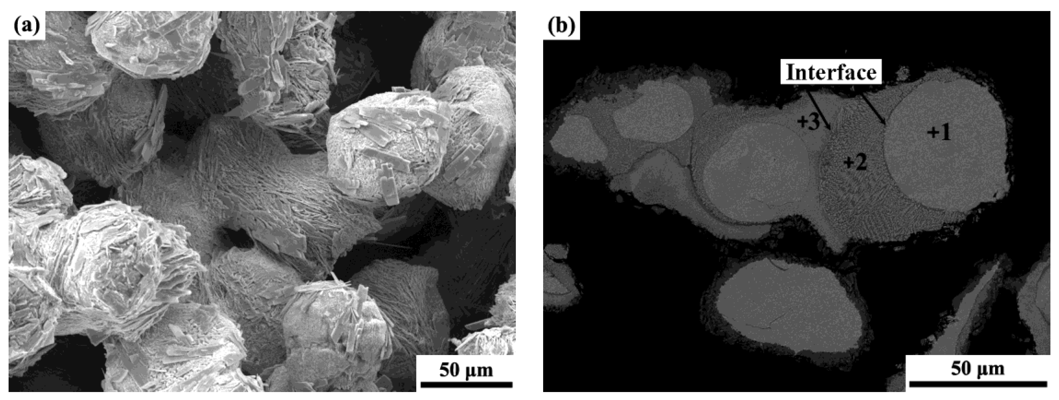 Coatings 09 00158 g002 550