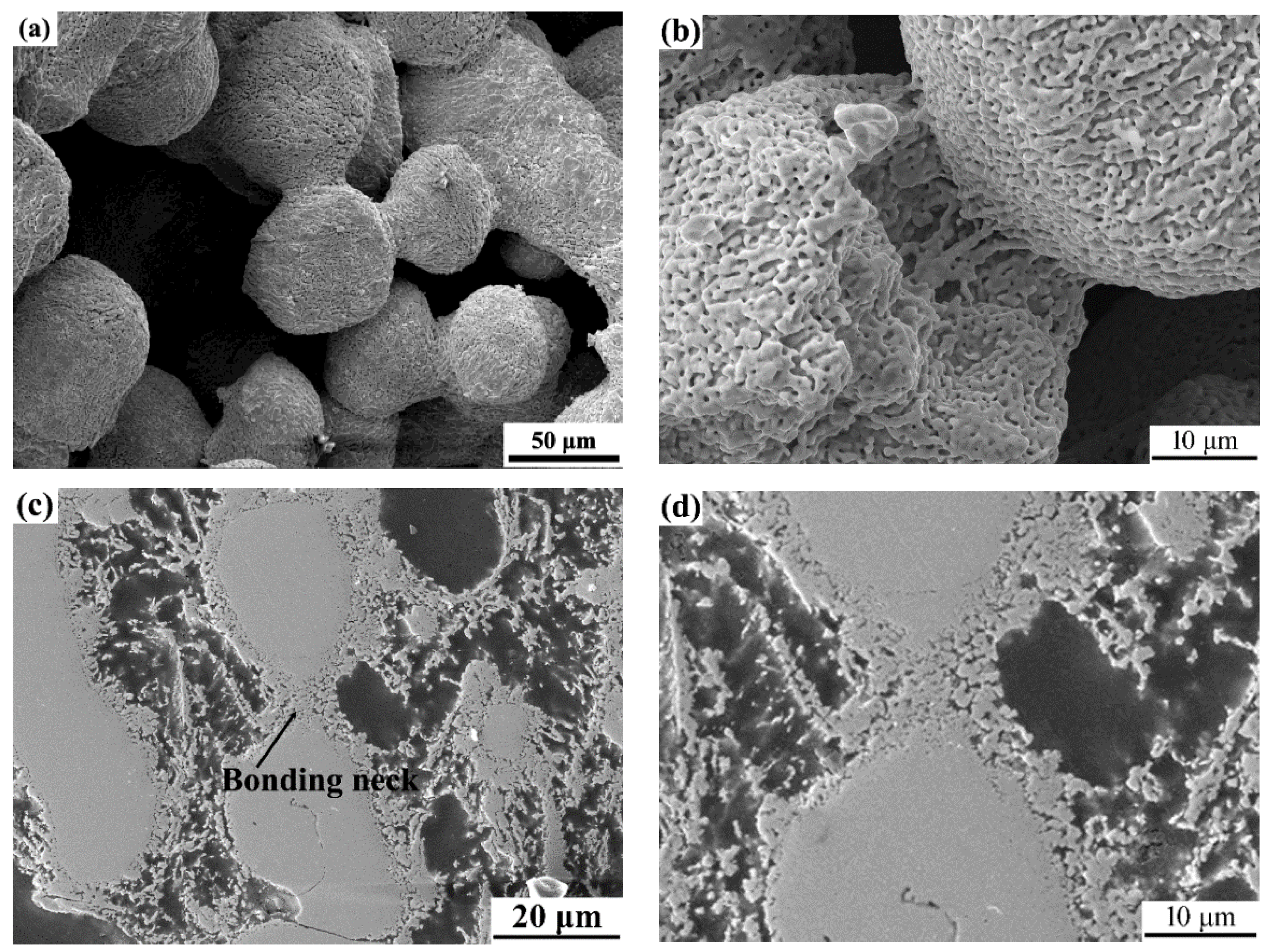 Coatings 09 00158 g004 550