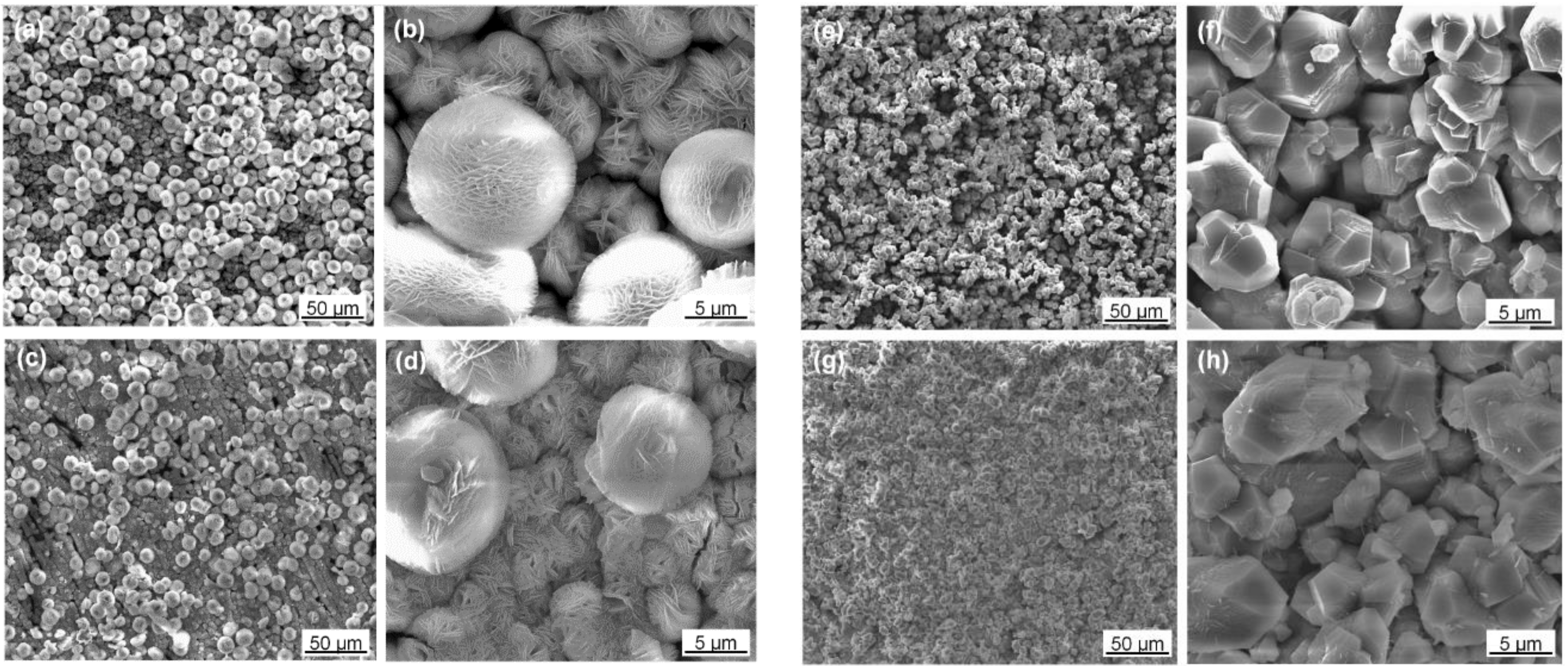 Coatings 09 00160 g001 550