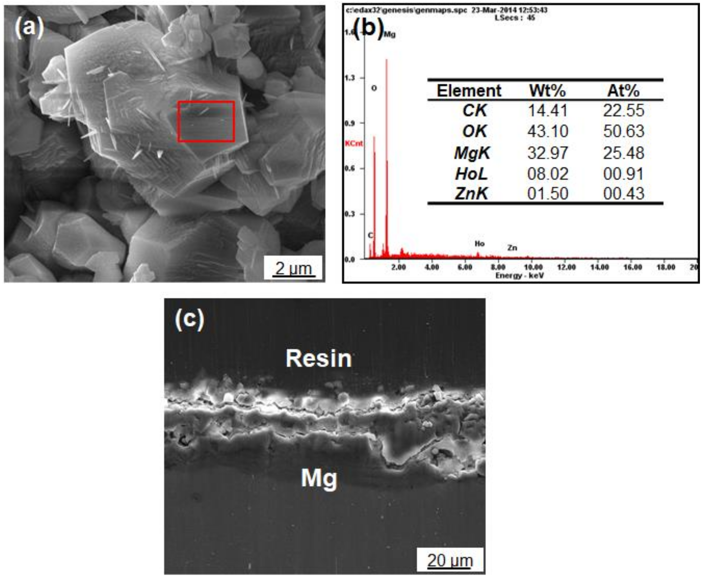 Coatings 09 00160 g003 550