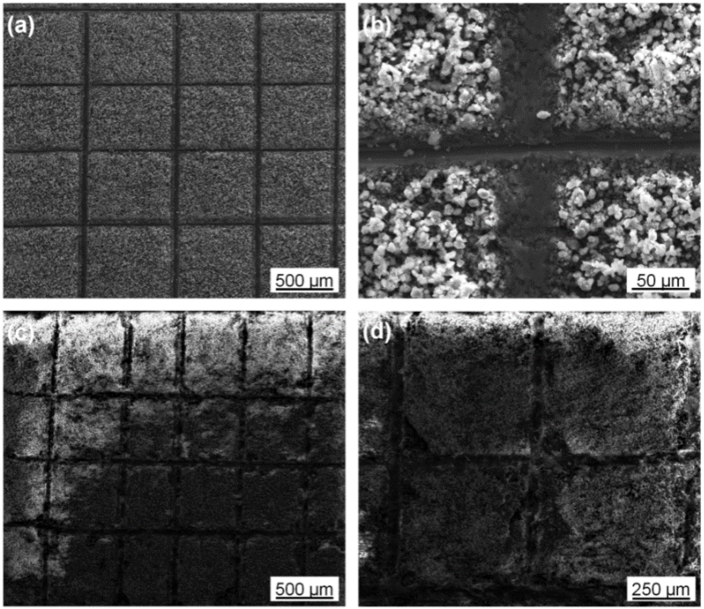 Coatings 09 00160 g005 550