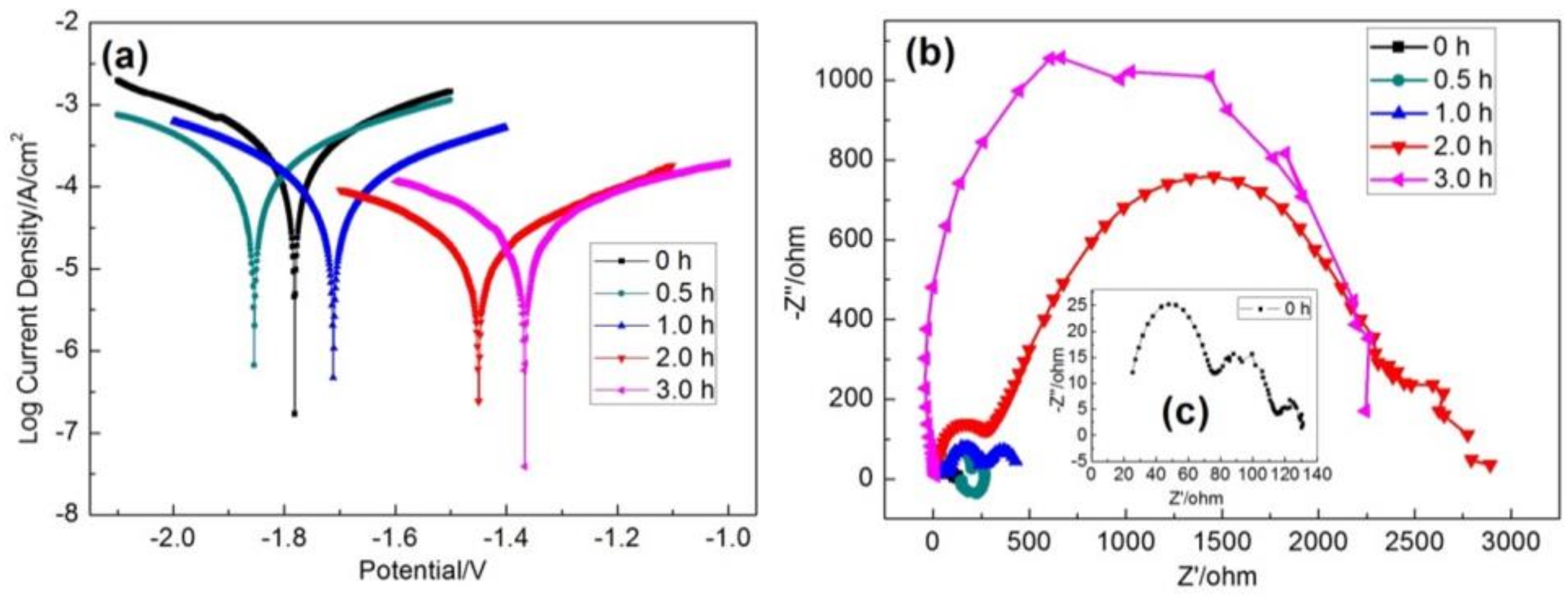Coatings 09 00160 g006 550