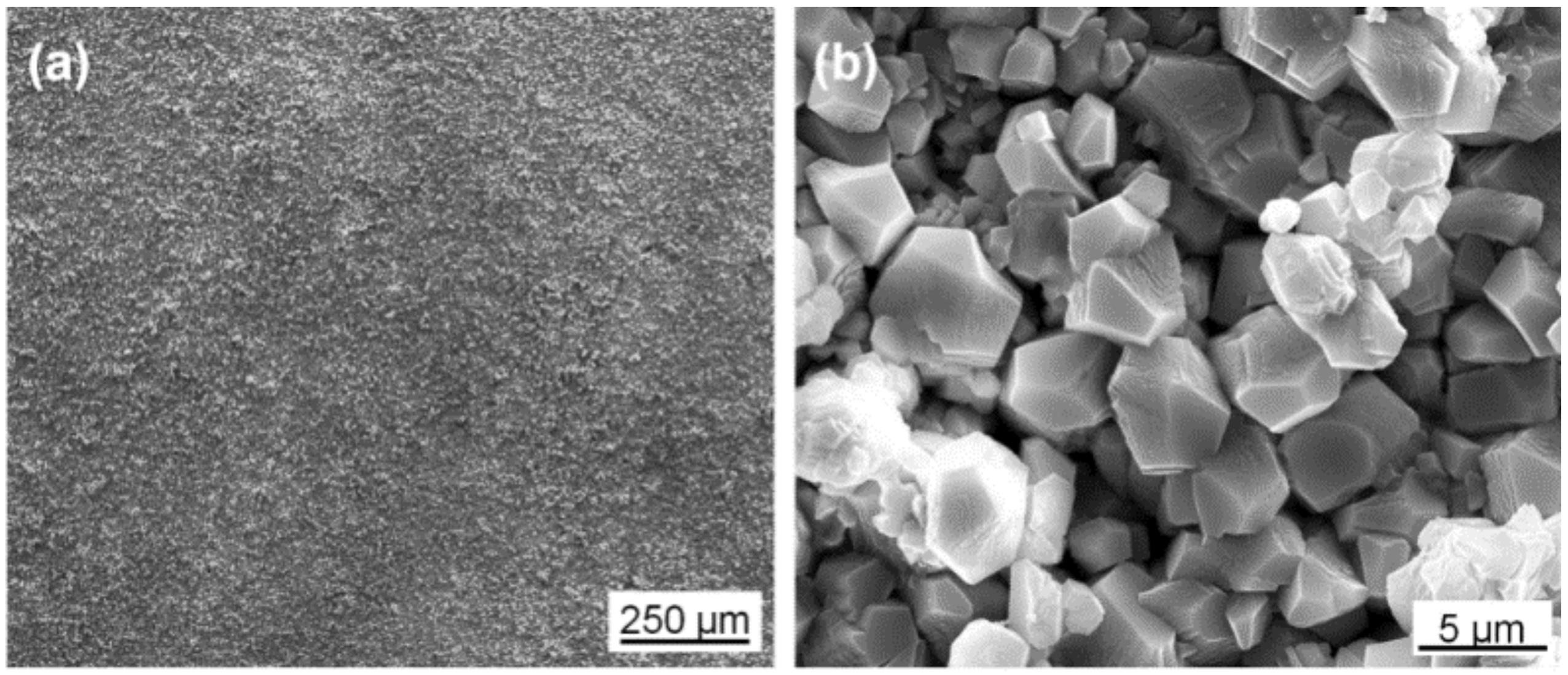 Coatings 09 00160 g008 550