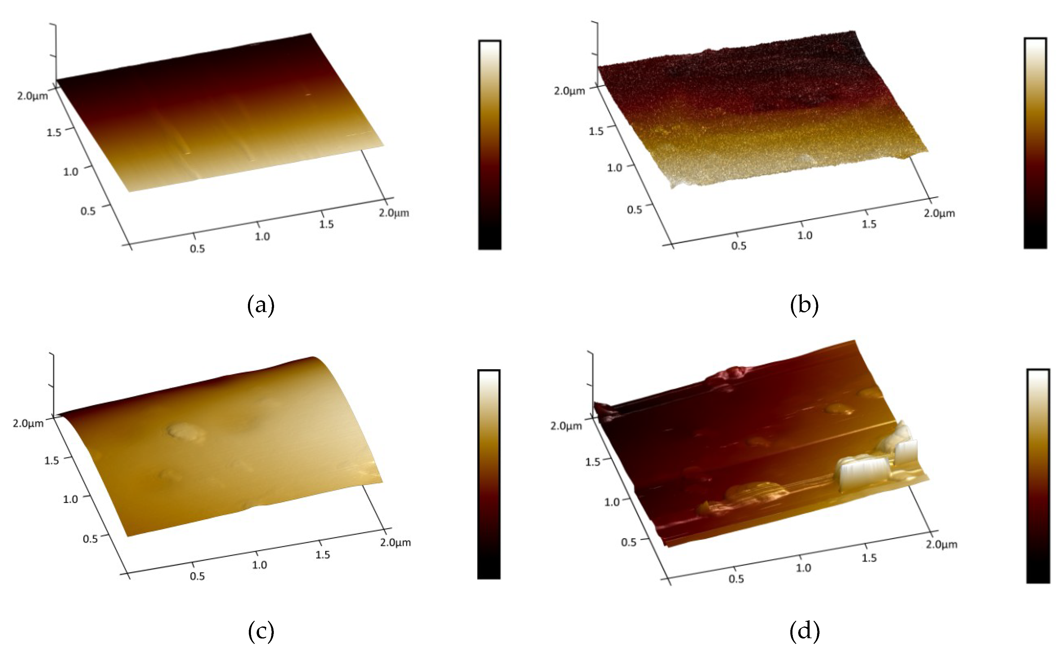 Coatings 09 00161 g005