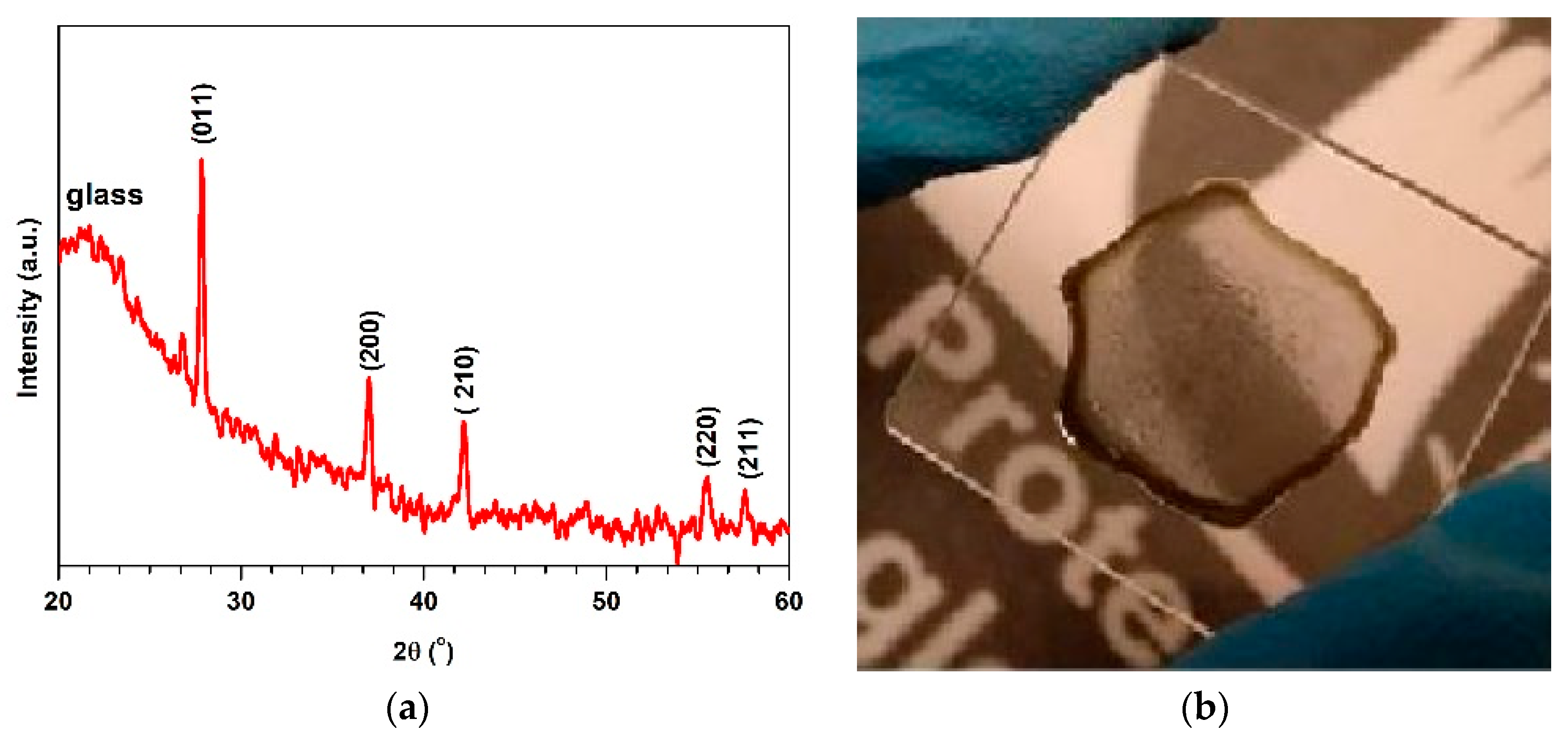 Coatings 09 00163 g002