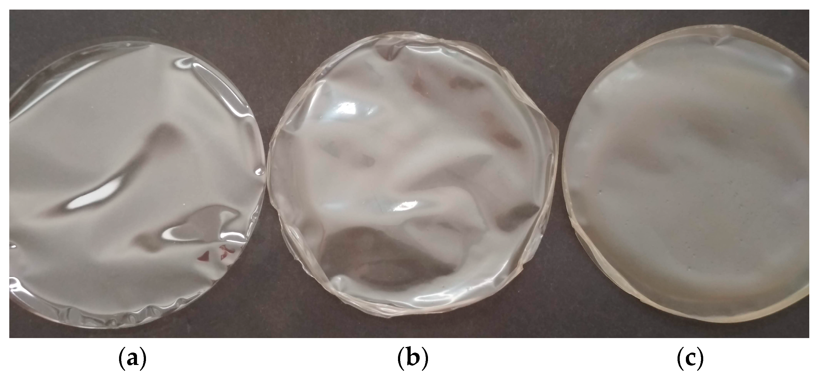 Coatings 09 00165 g002 550