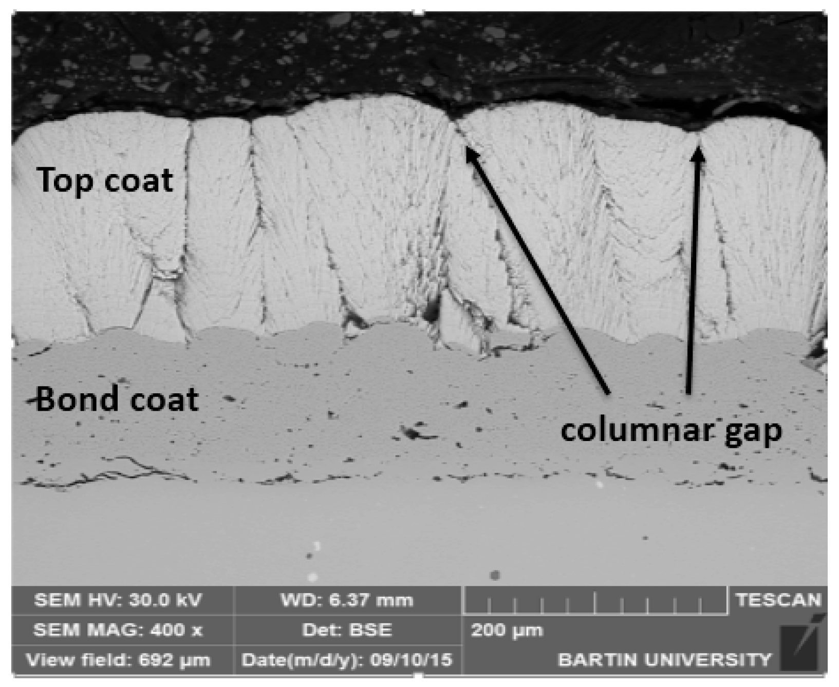 Coatings 09 00166 g001