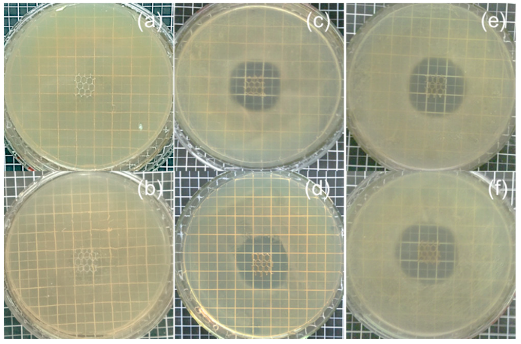 Coatings 09 00168 g007 Coatings 09 00168 g007