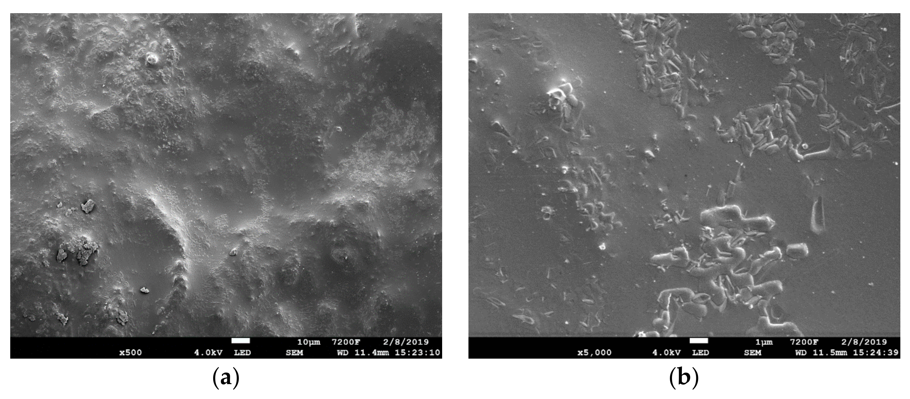 Coatings 09 00170 g011