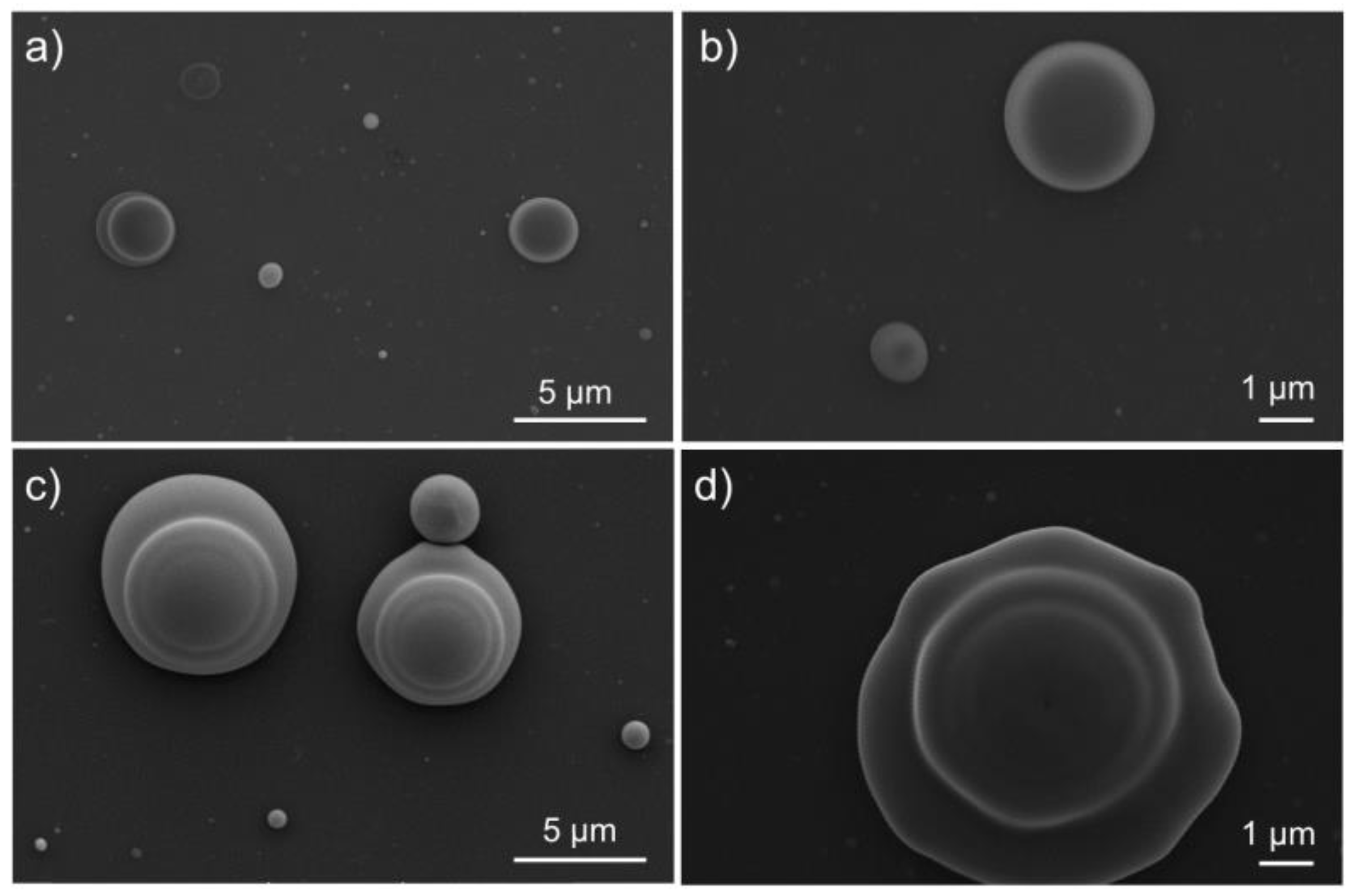 Coatings 09 00179 g002