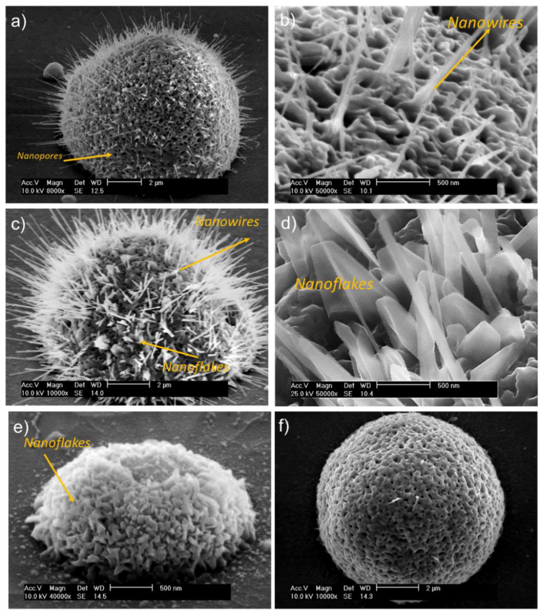 Coatings 09 00179 g003