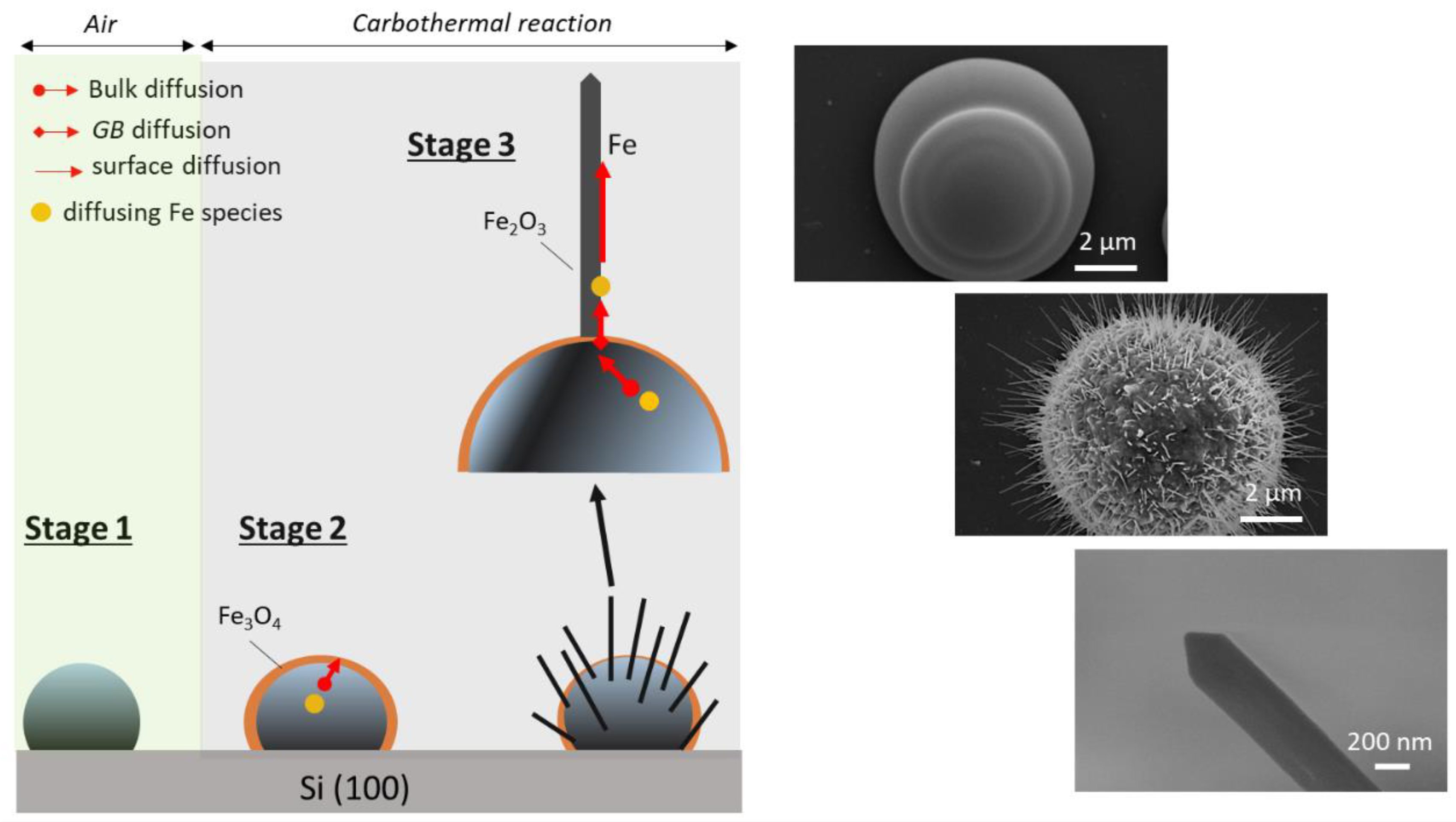 Coatings 09 00179 g005