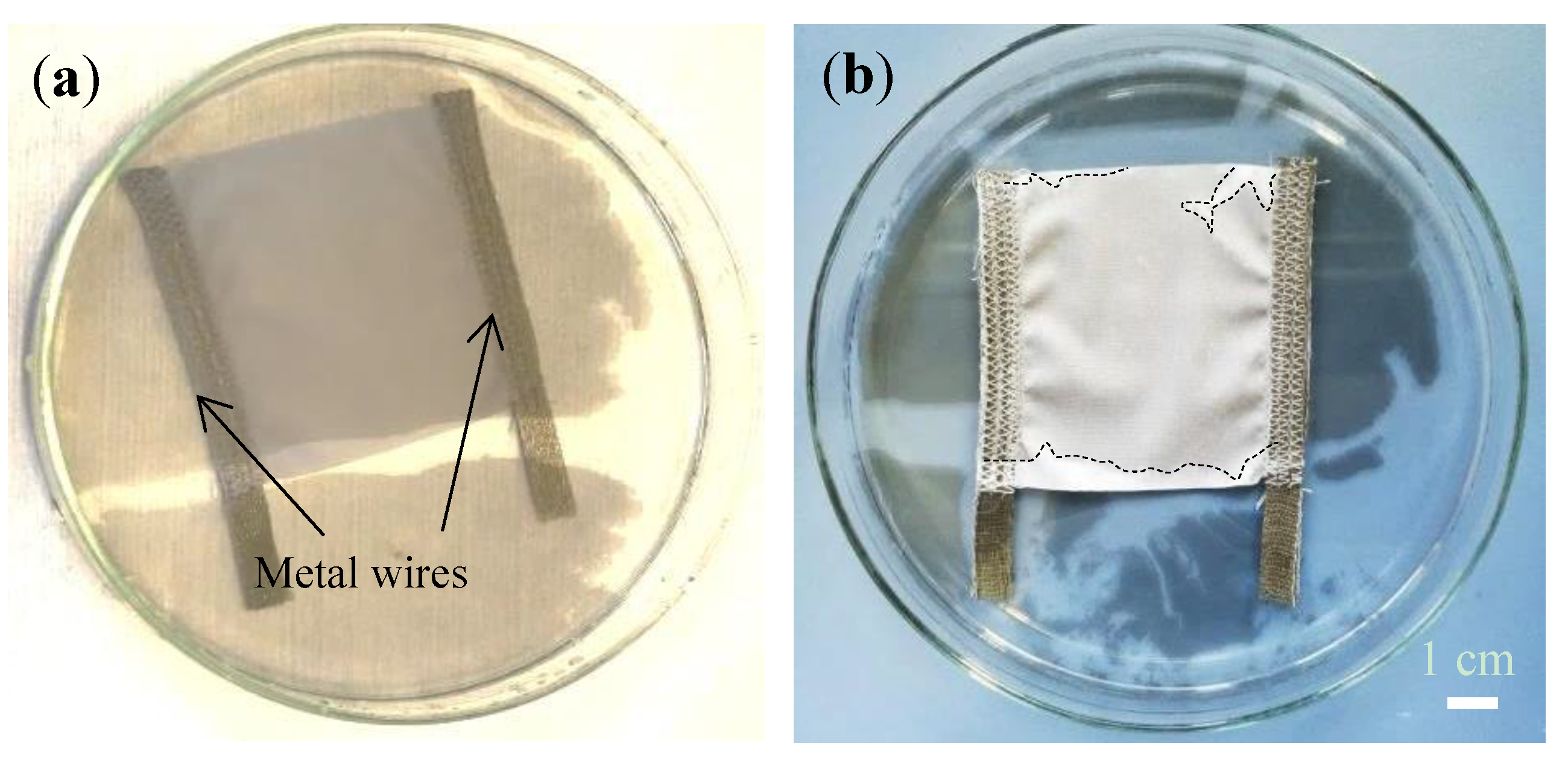 Coatings 09 00183 g004