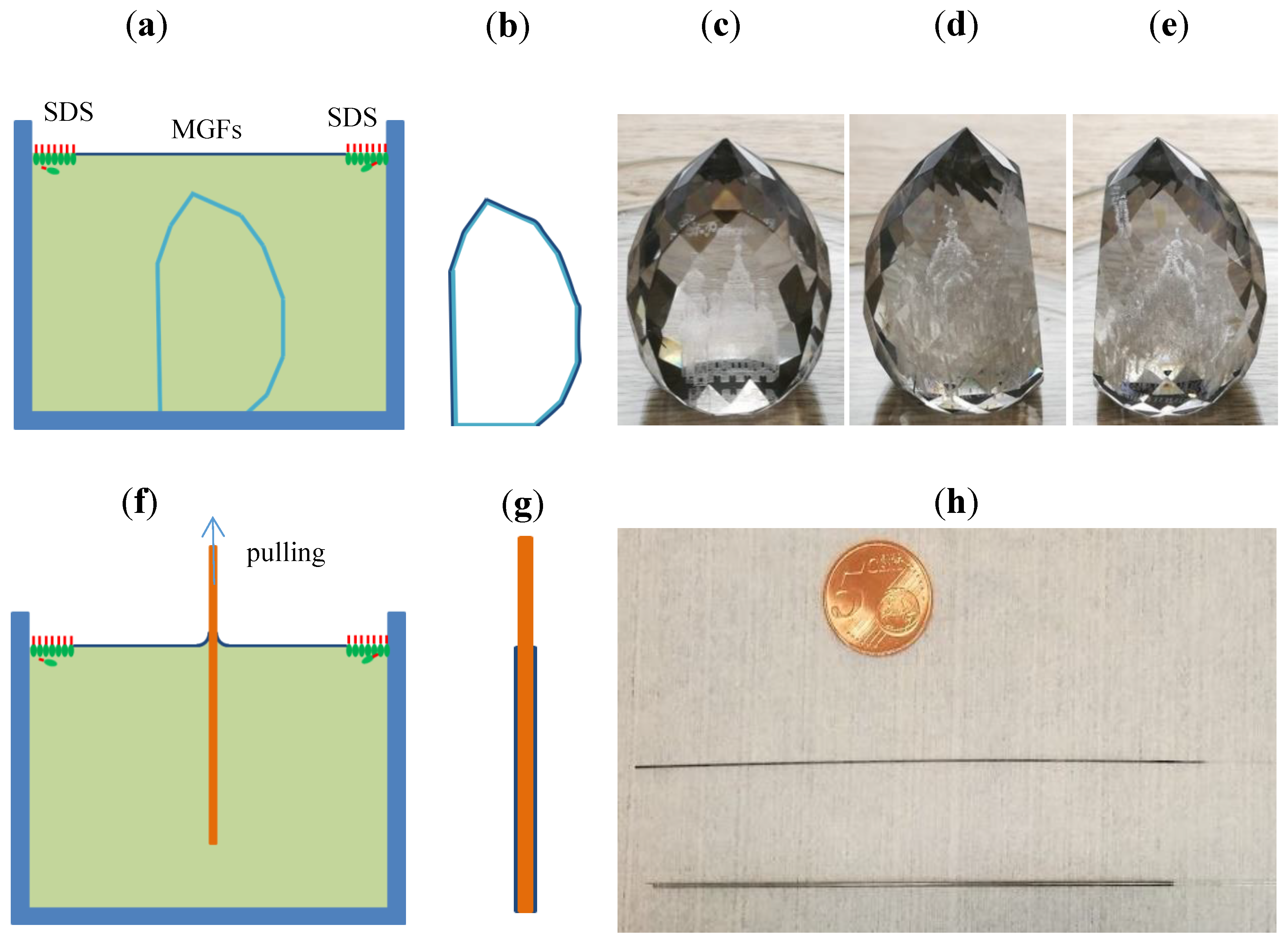 Coatings 09 00183 g005