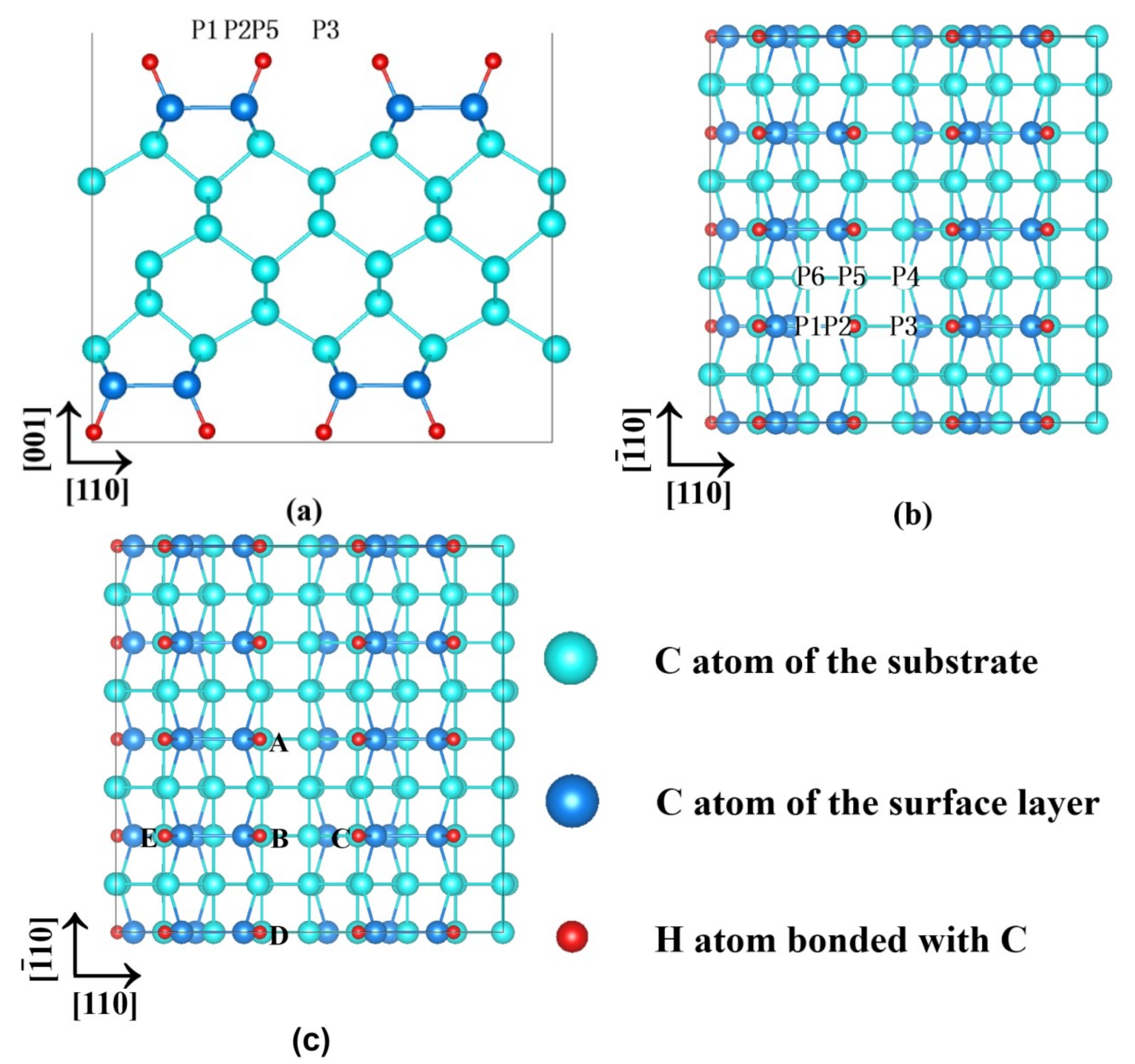Coatings 09 00184 g001
