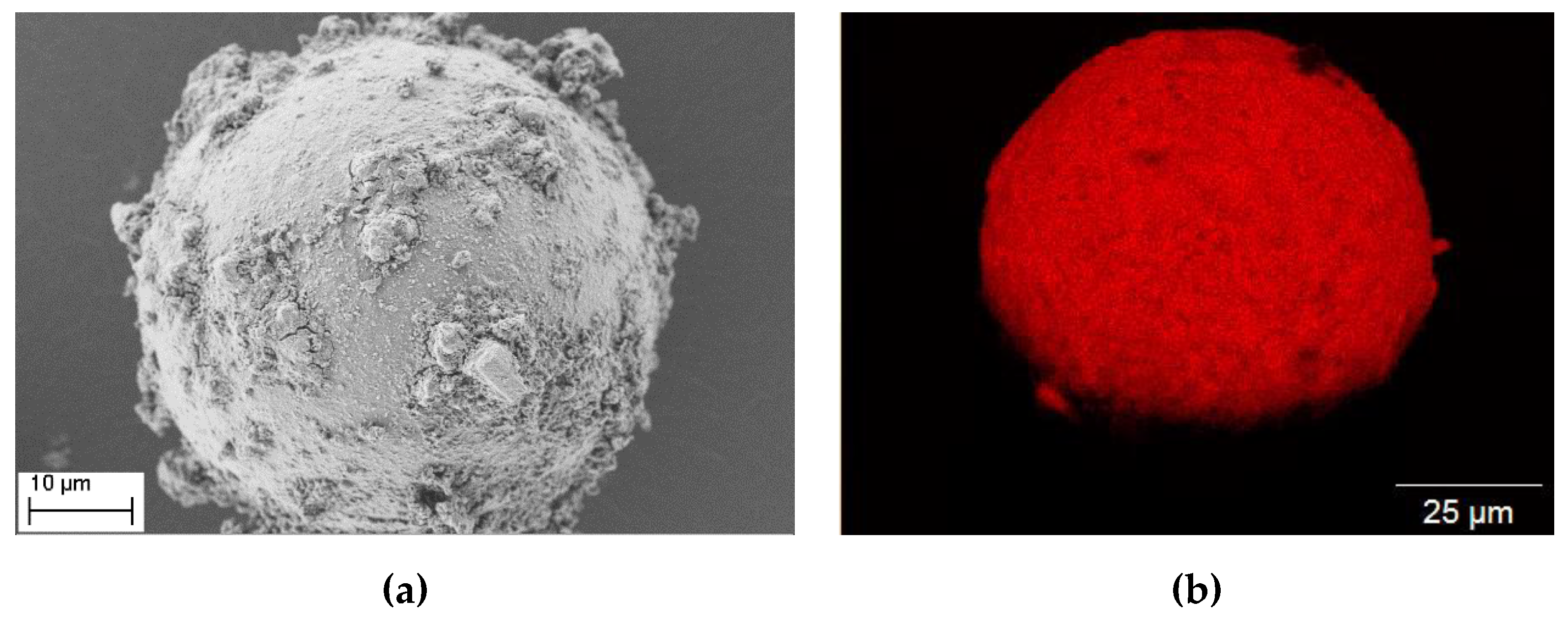 Coatings 09 00187 g006 Coatings 09 00187 g006