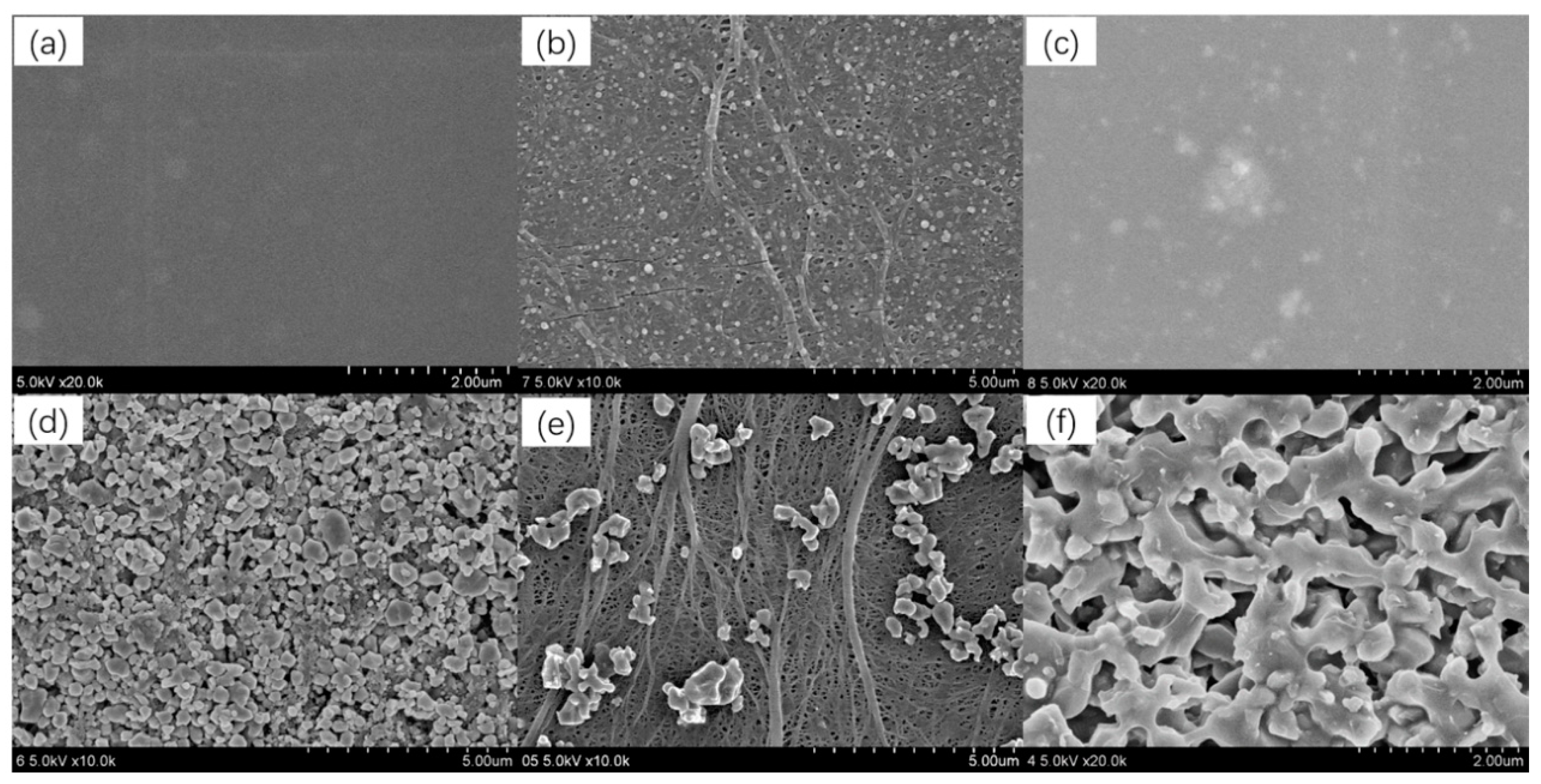 Coatings 09 00190 g004 Coatings 09 00190 g004