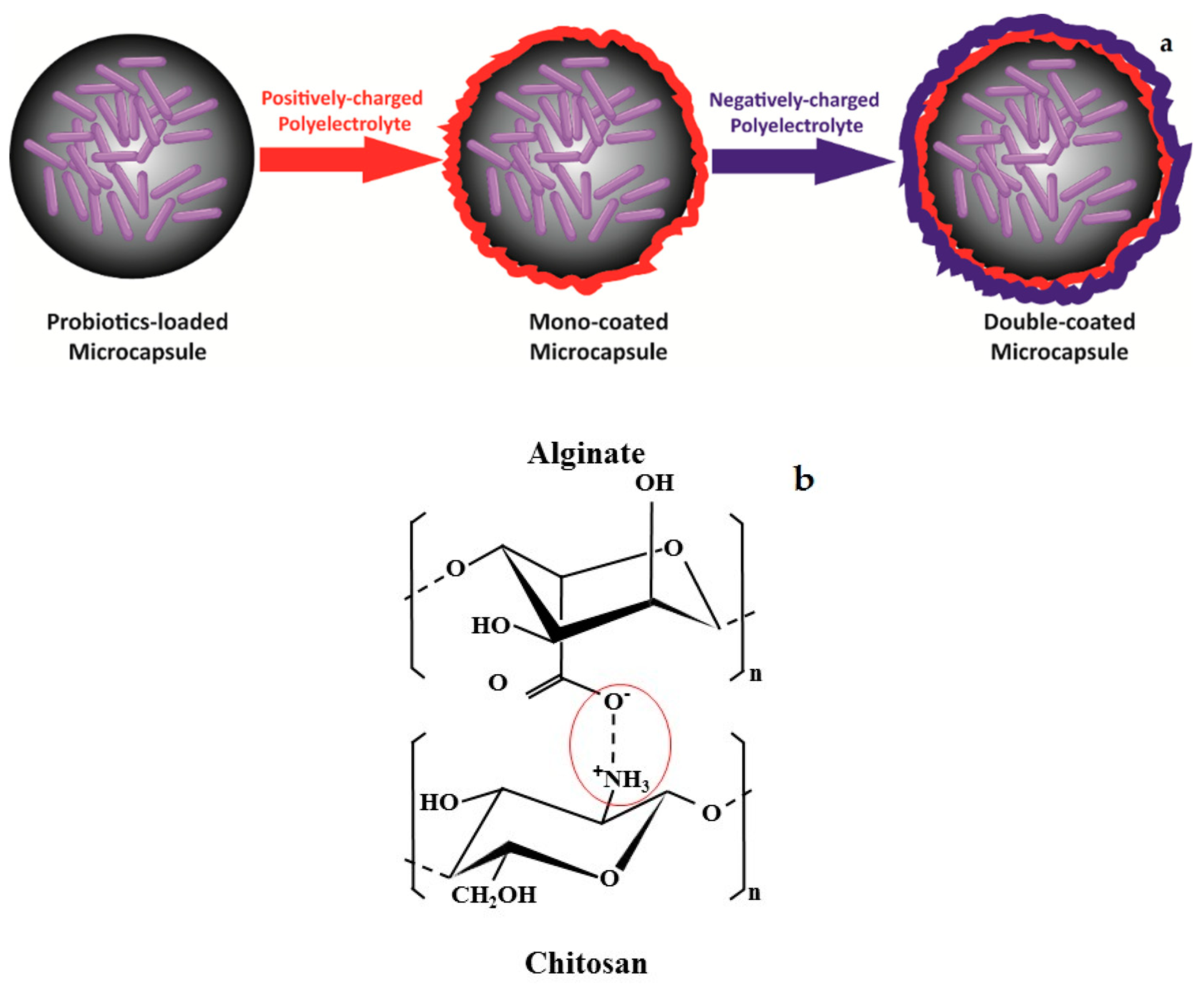 Coatings 09 00194 g003 Coatings 09 00194 g003