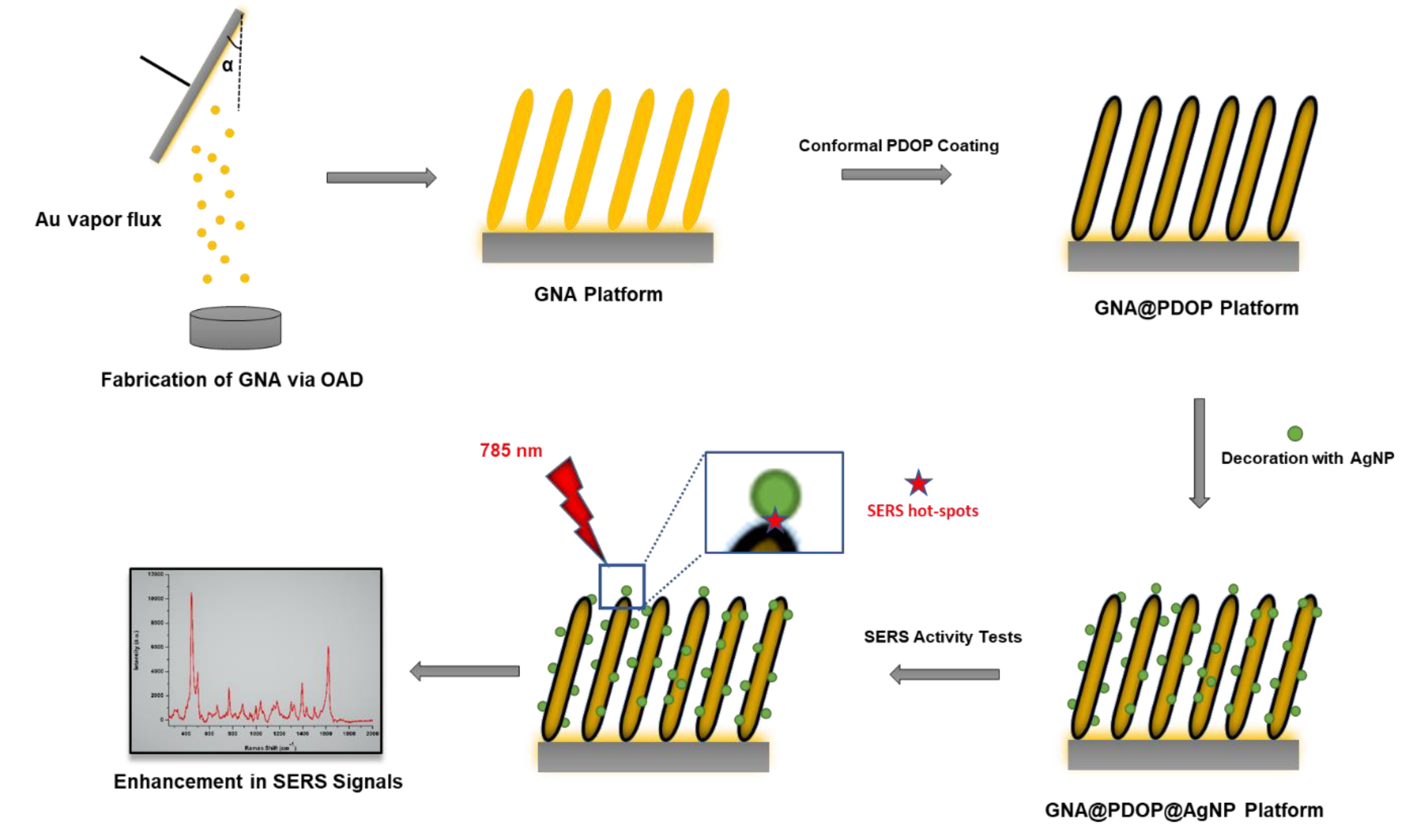 (pdf) The Influence Of Surface Coatings Of Silver Nanoparticles On The 0C7