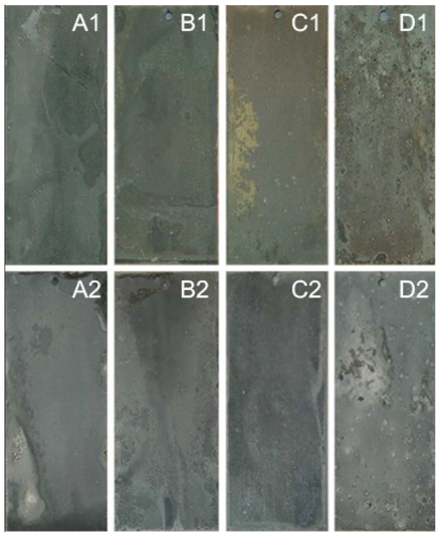 Coatings 09 00199 g006