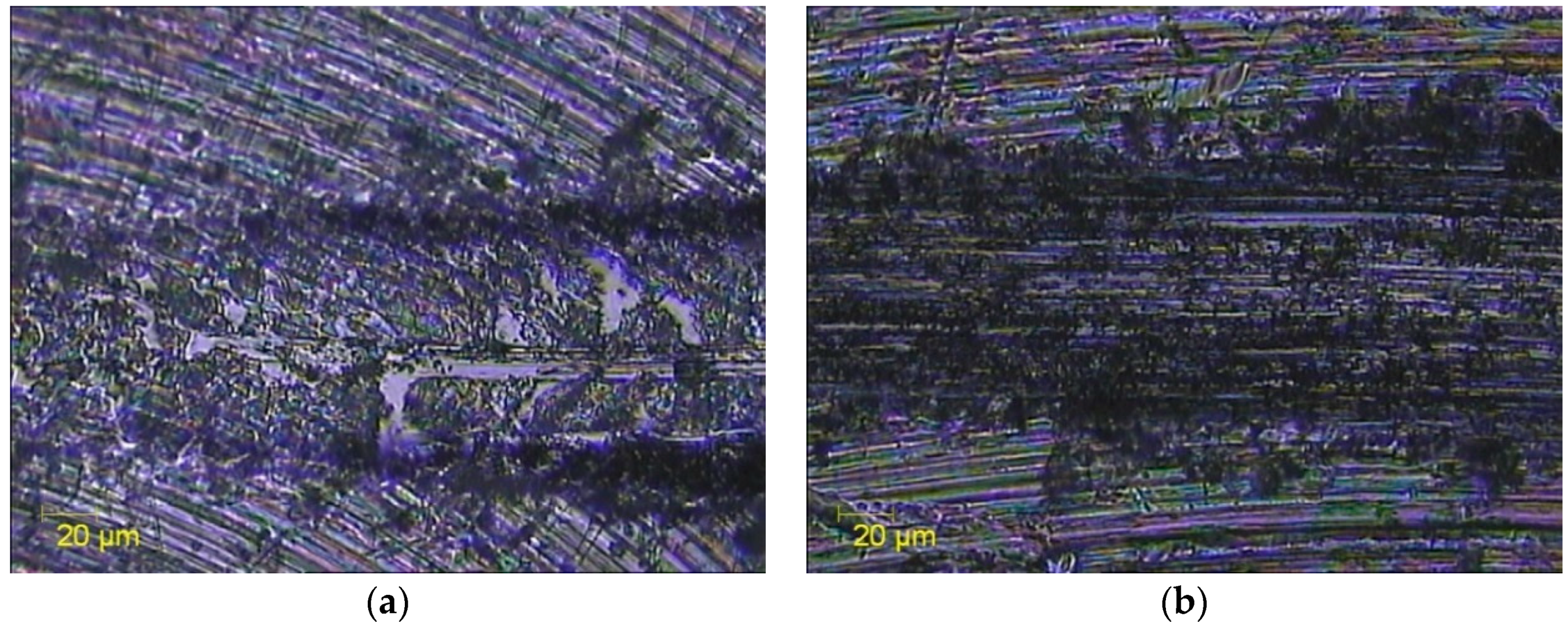 Coatings 09 00200 g006 550